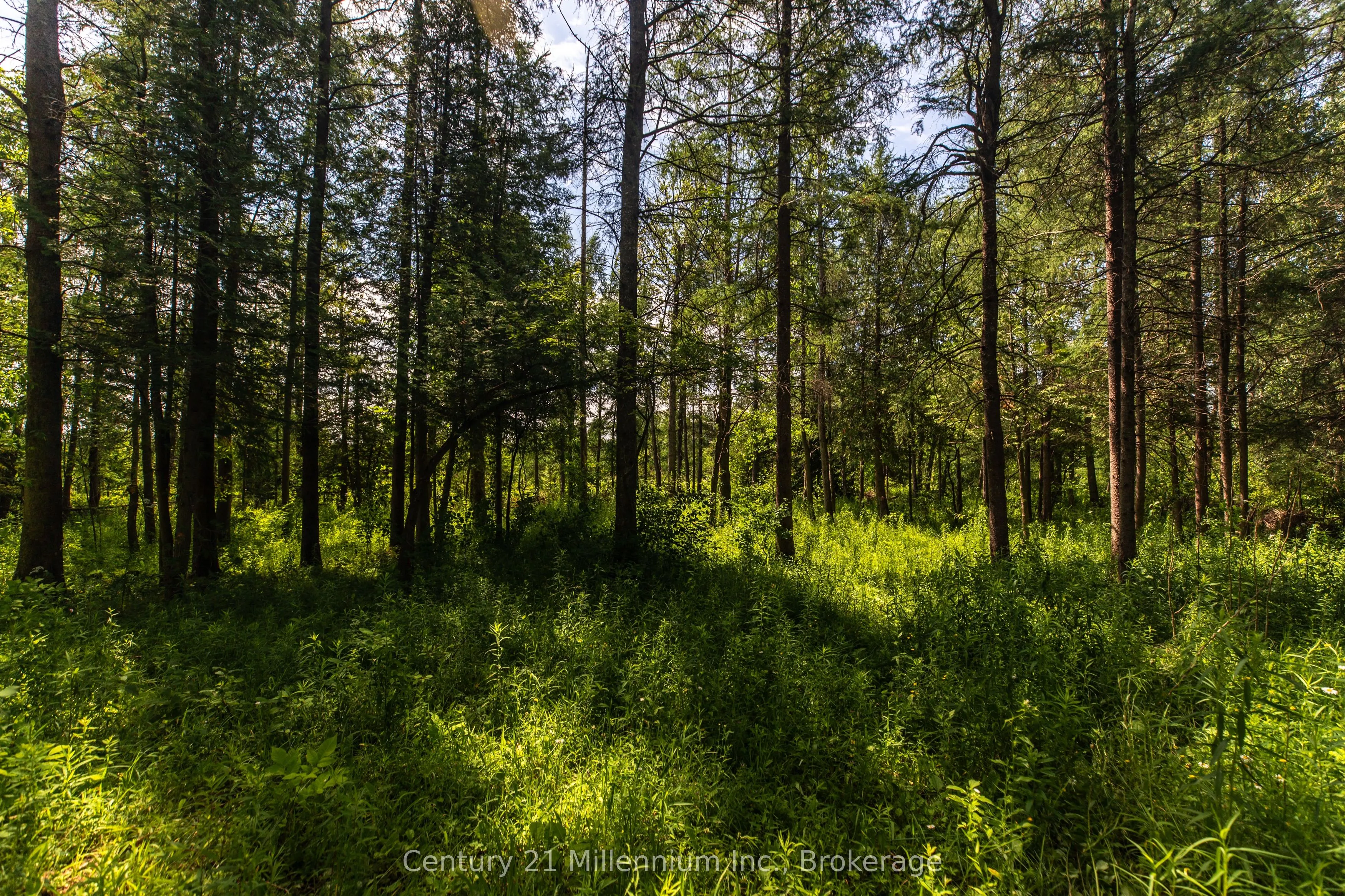 612608 Sideroad 61