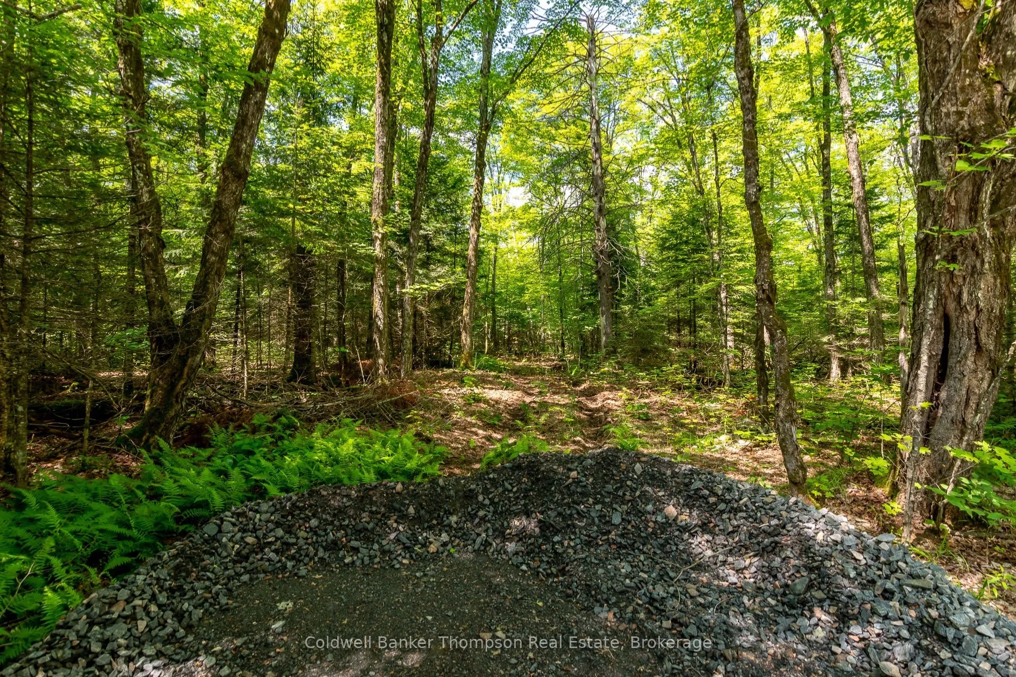 162 Ely Side Road