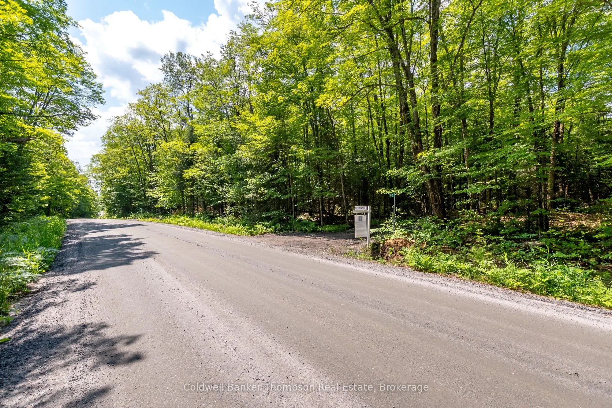 162 Ely Side Road