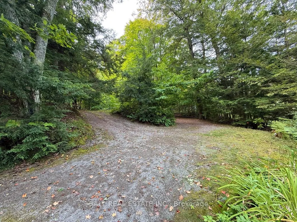 551 Renwick Road