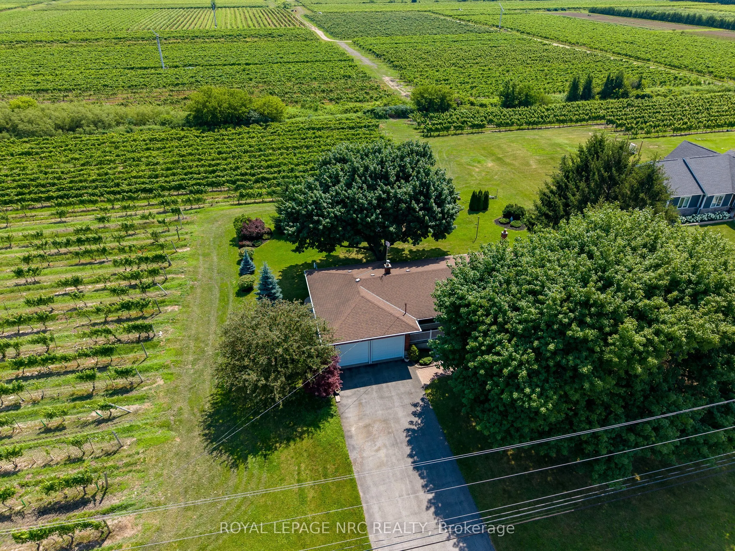 1177 Concession 2 Concession