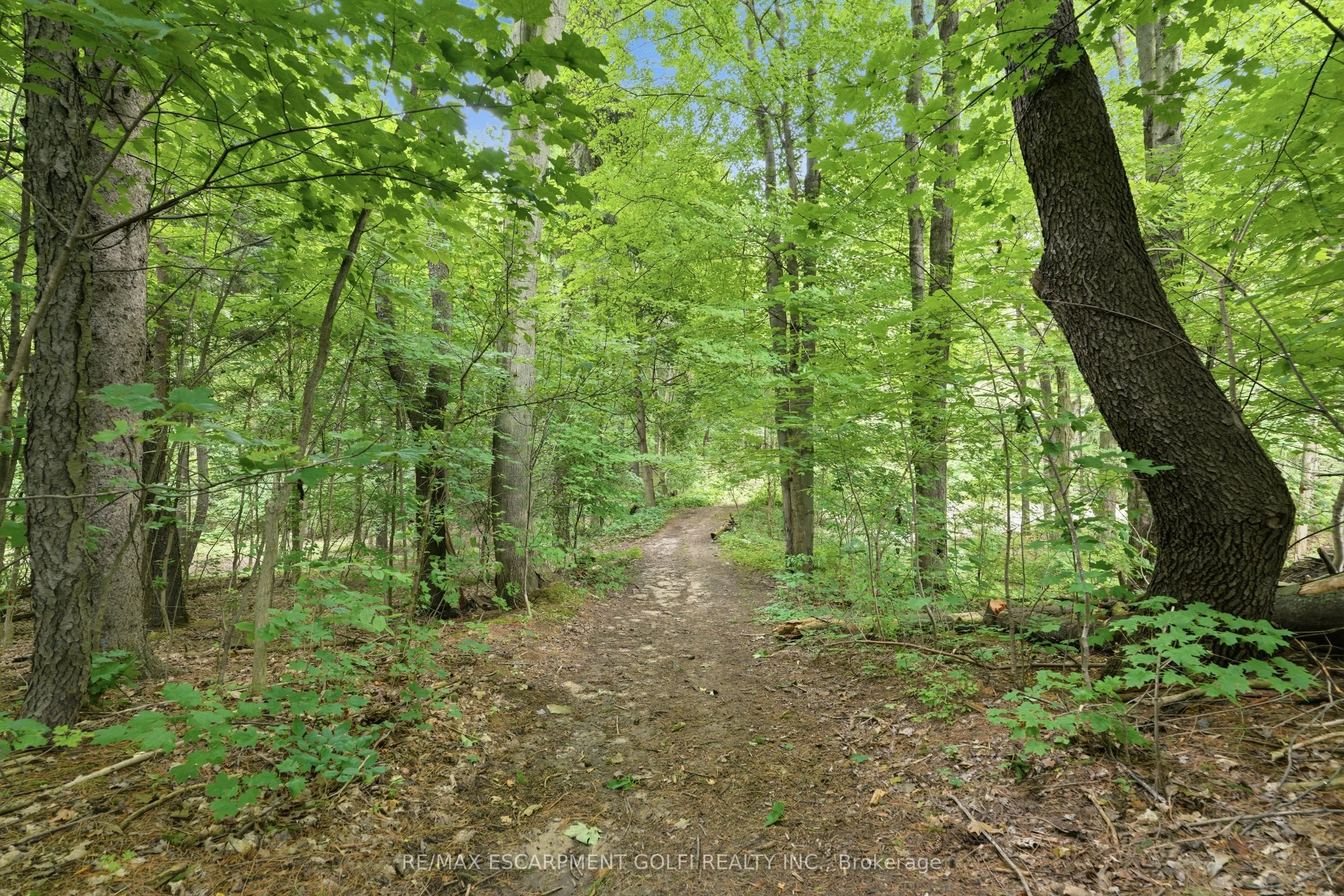 461 TICE Road