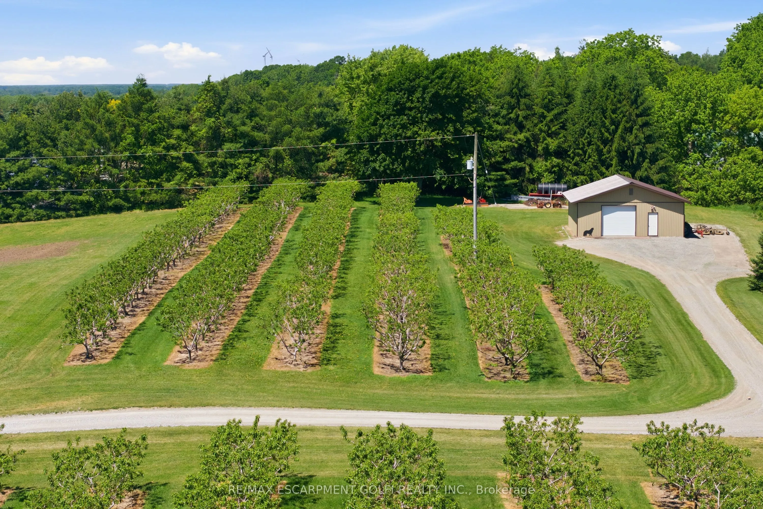 461 TICE Road