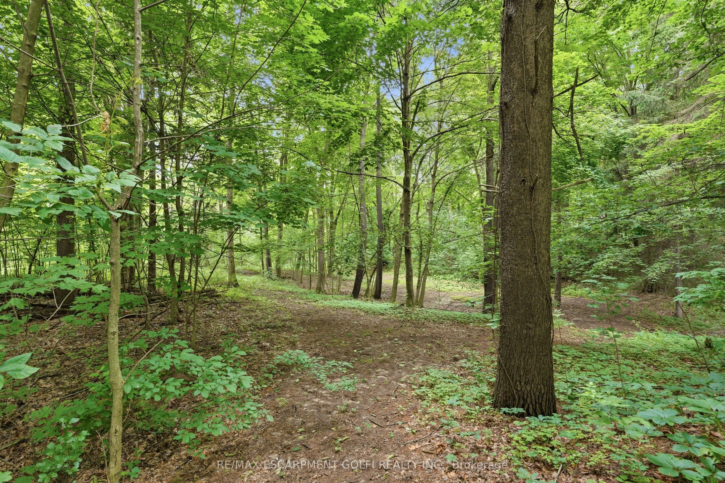 461 TICE Road