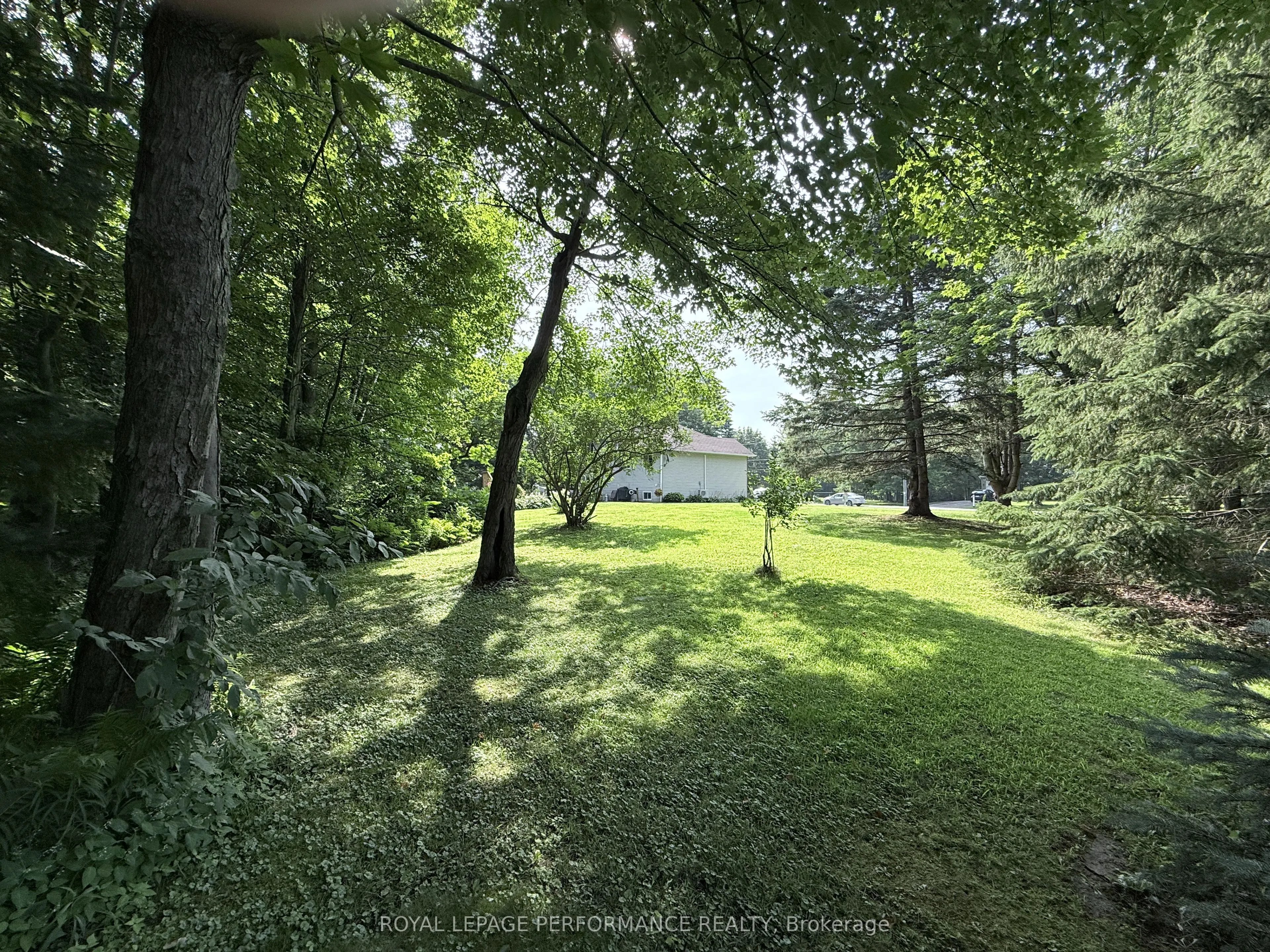 193 Blue Jay Drive