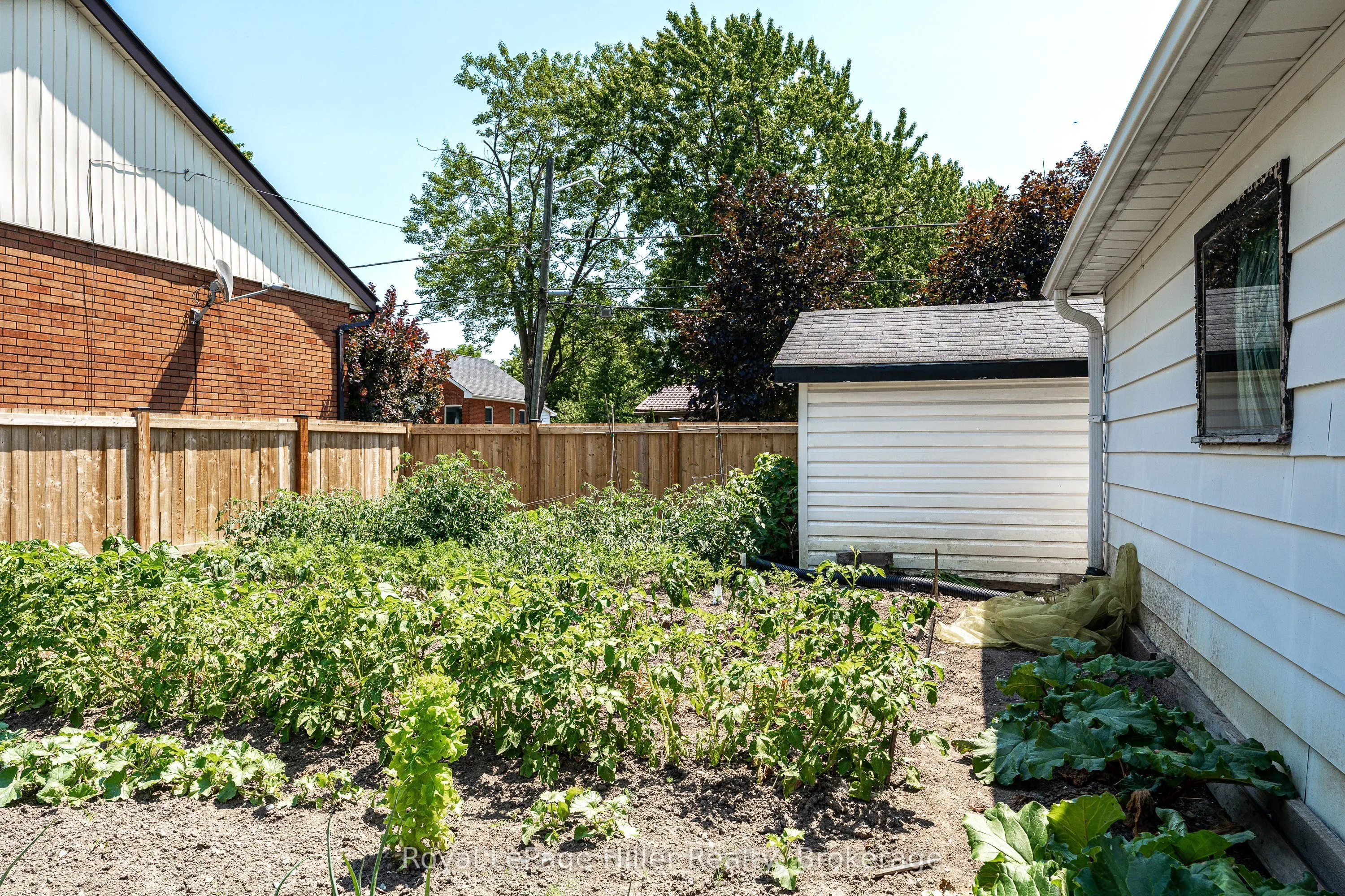 185 Strachan Street