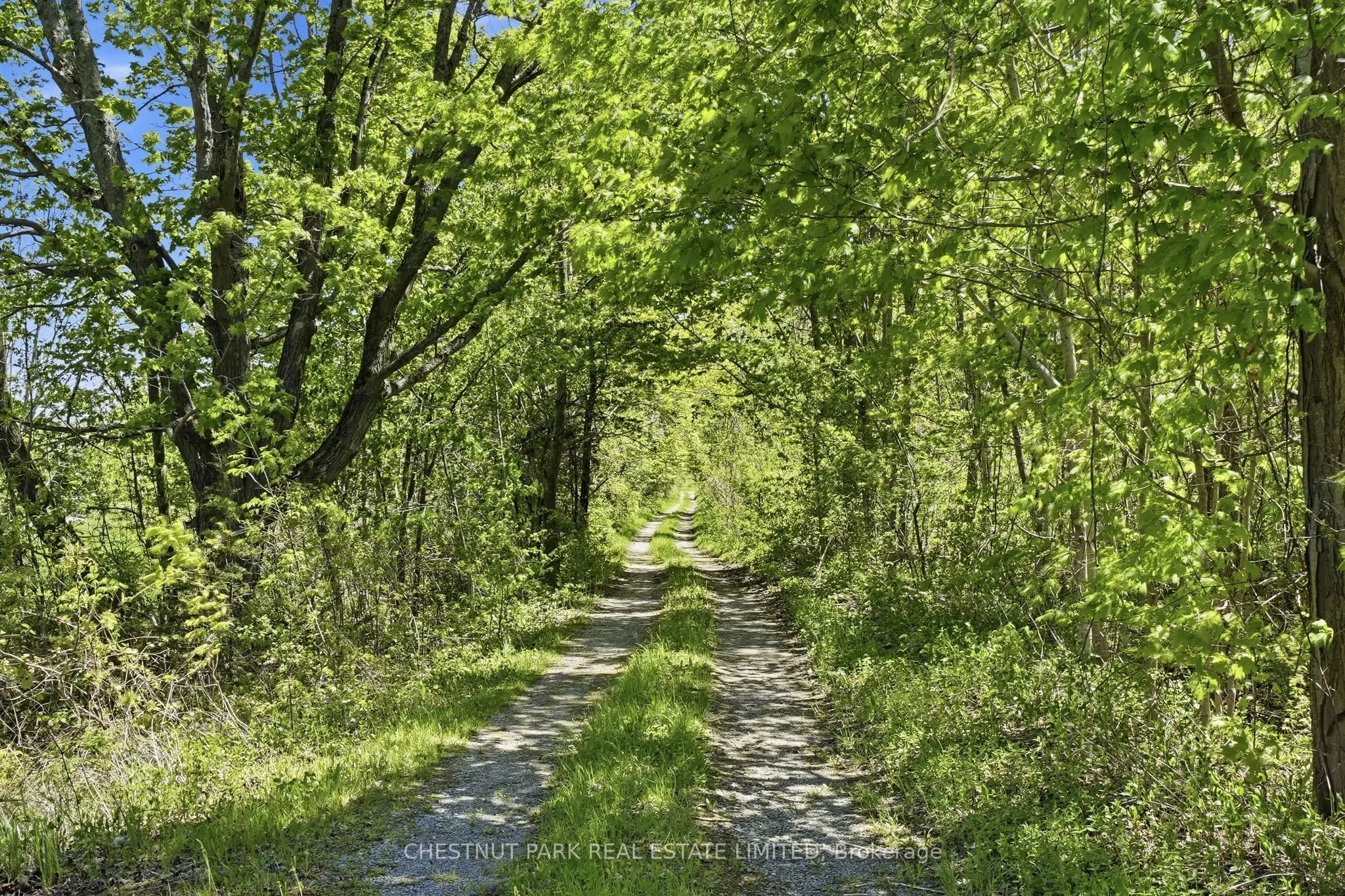 4176 County Road 8