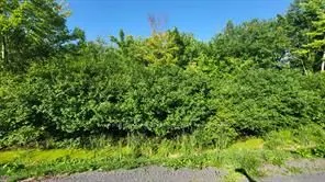 LOT 7 PLAN 246 Tolmies Corners Road
