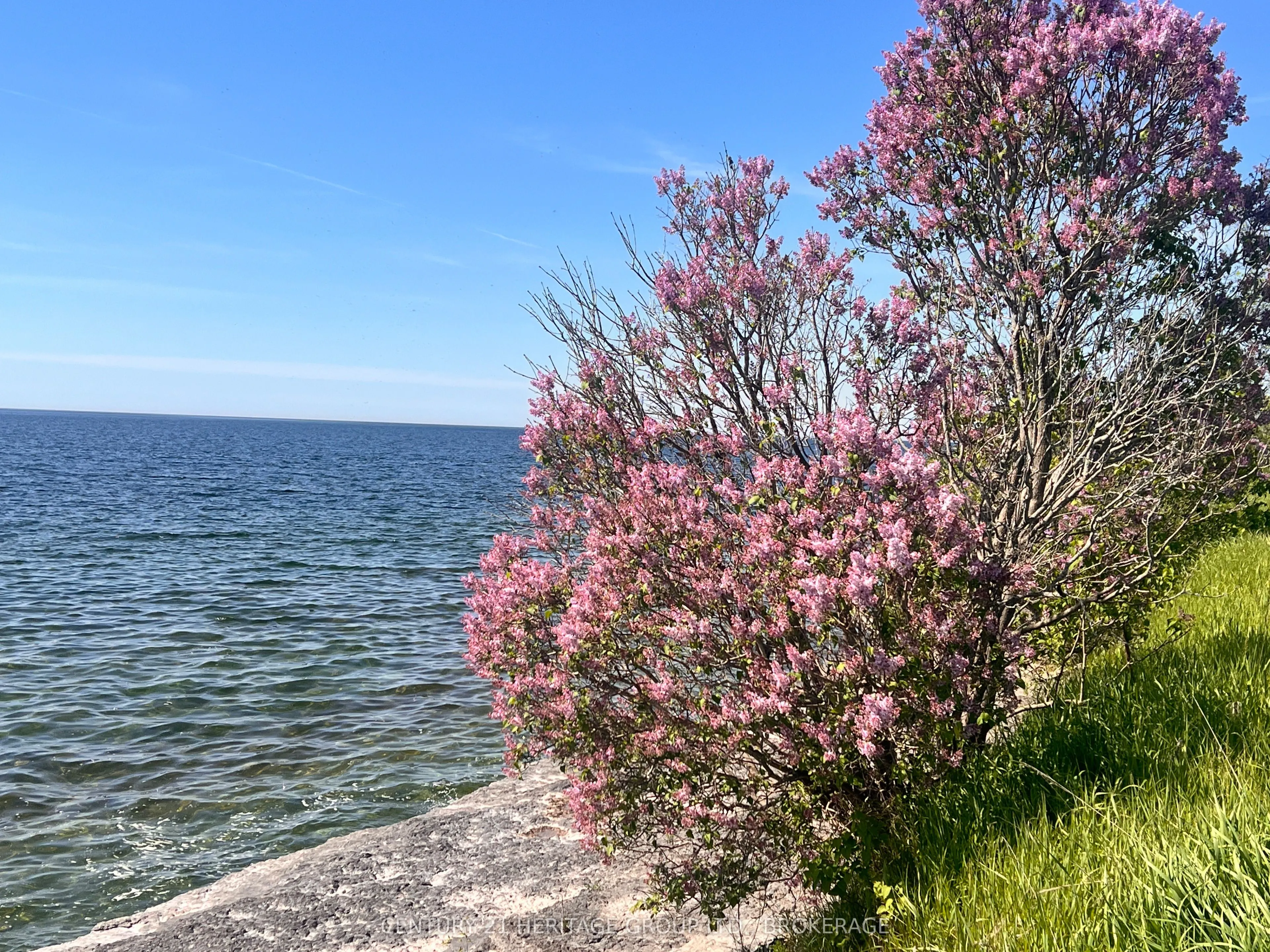 LOT 17 SOUTH SHORE Road