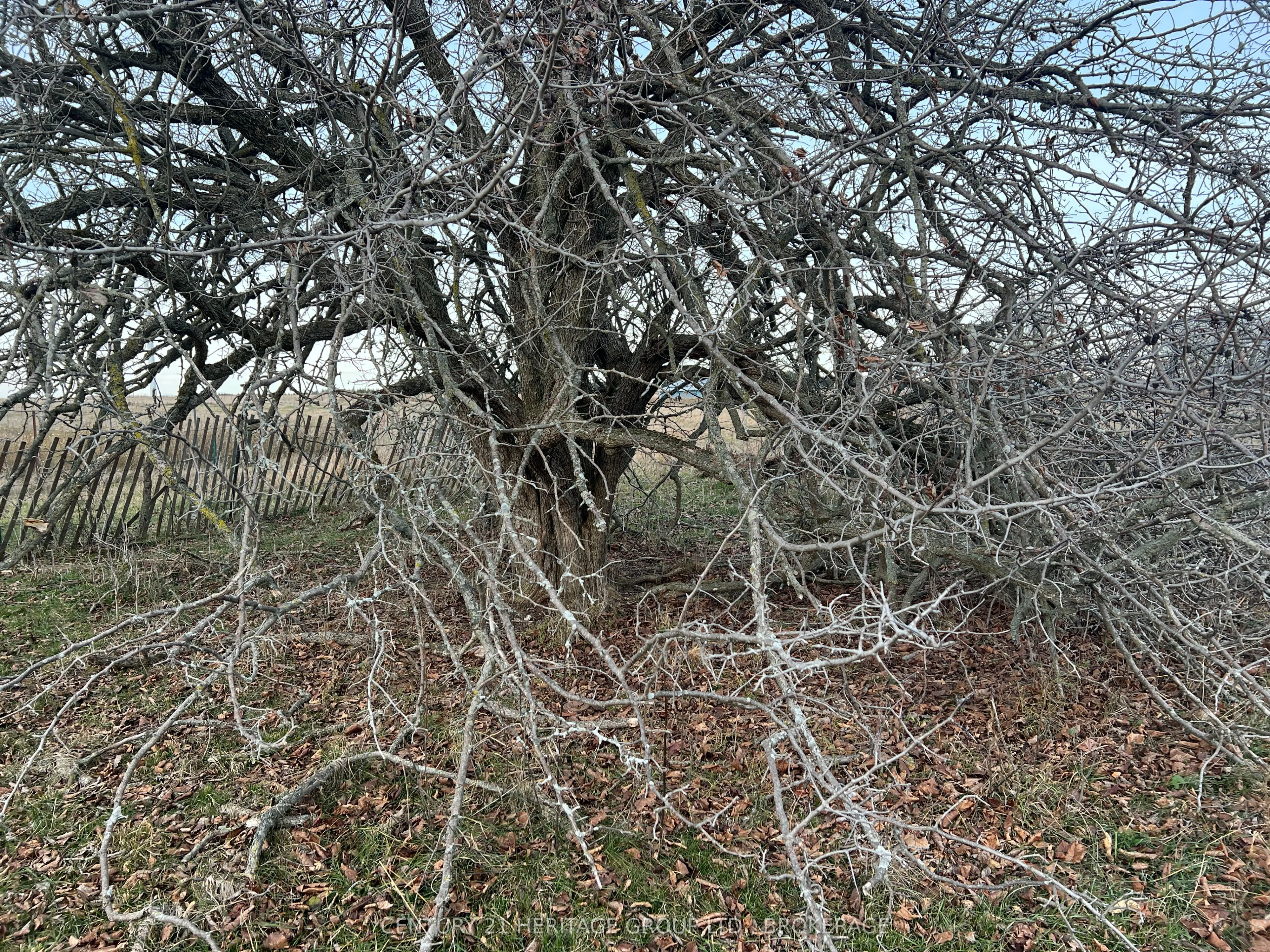 LOT 17 SOUTH SHORE Road