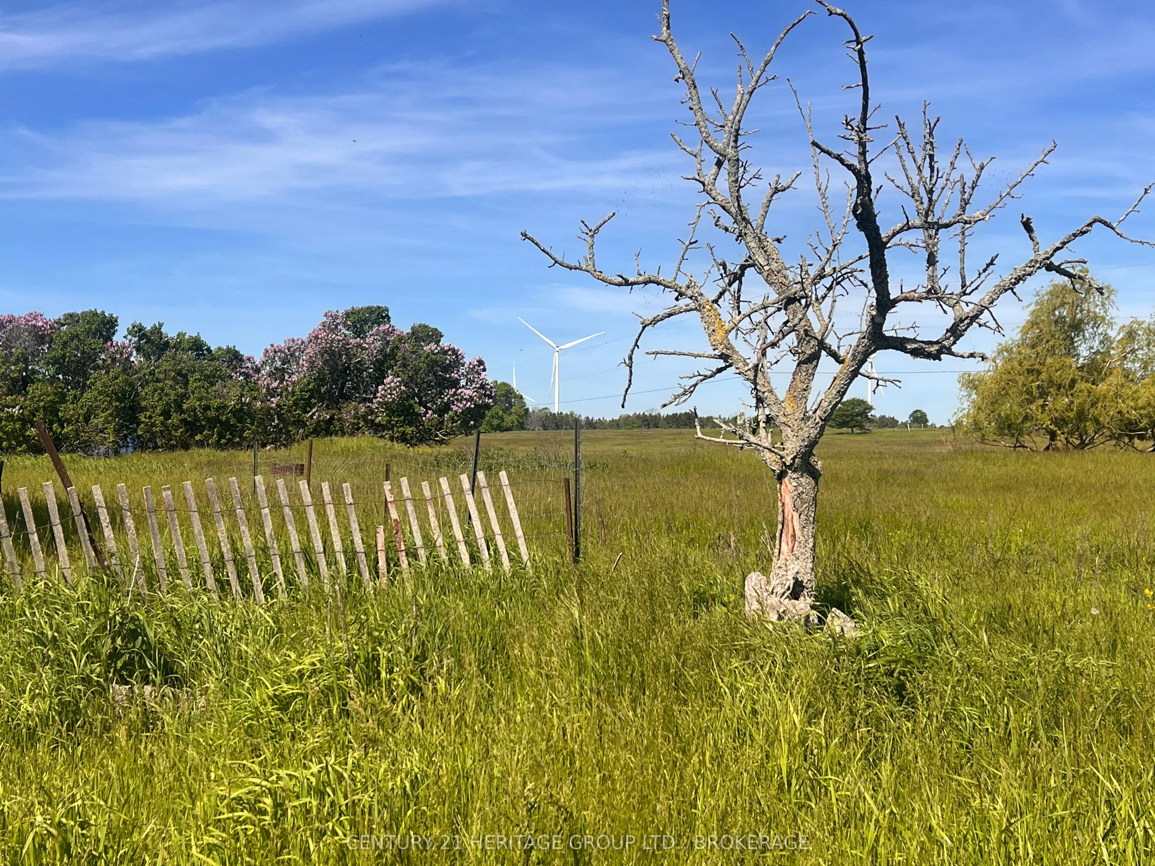 LOT 17 SOUTH SHORE Road