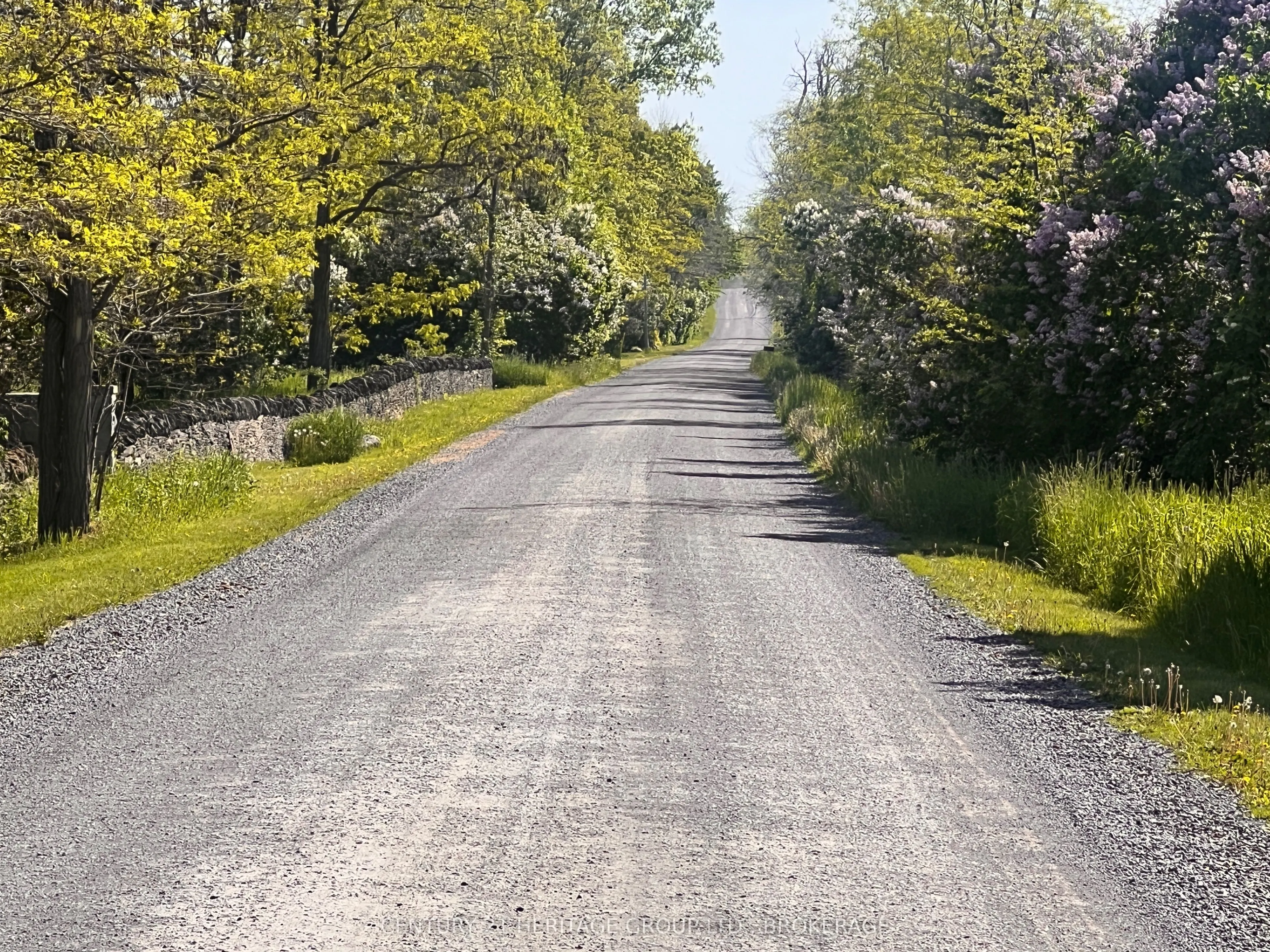 LOT 17 SOUTH SHORE Road