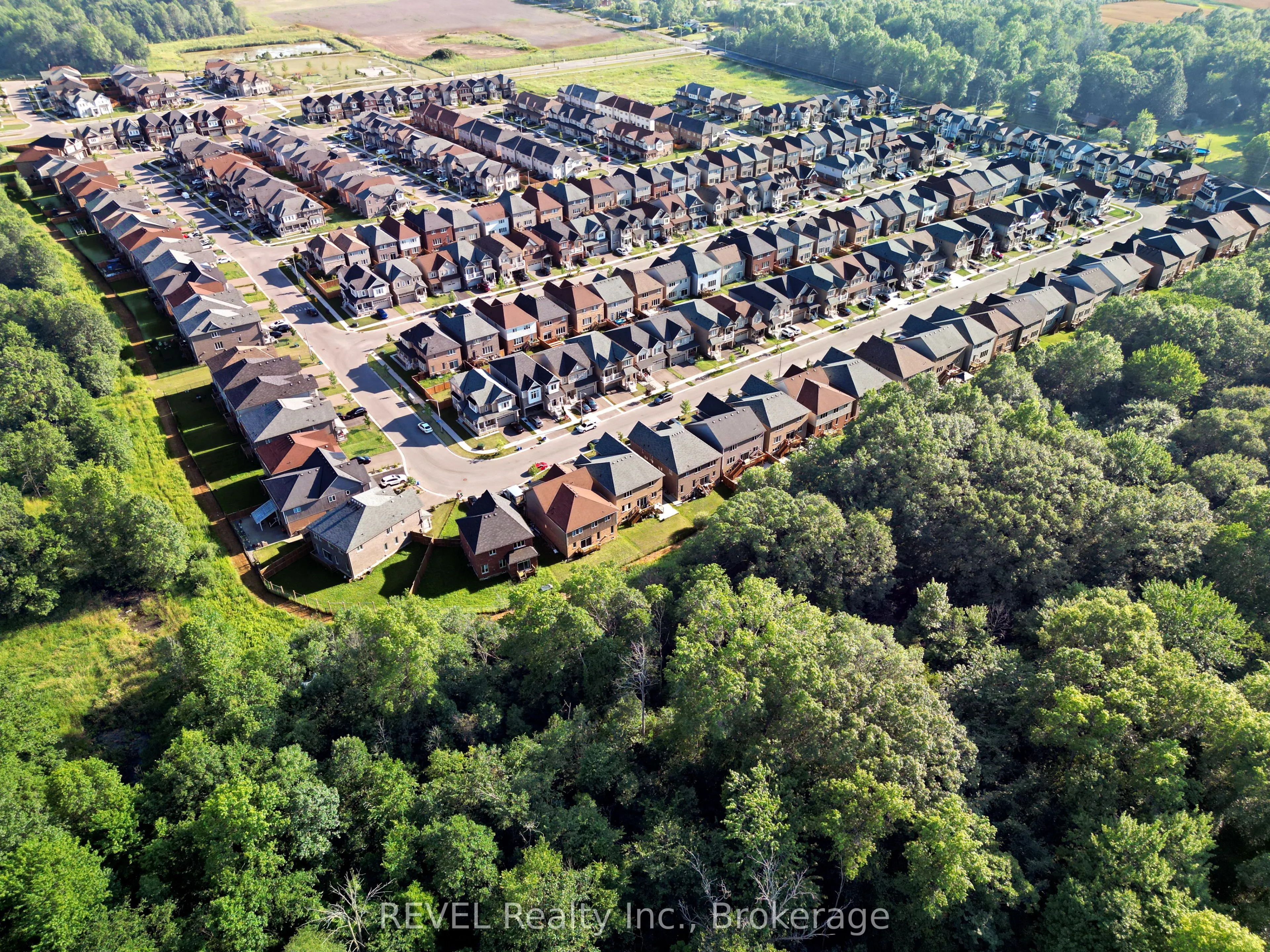 8619 Chickory Trail