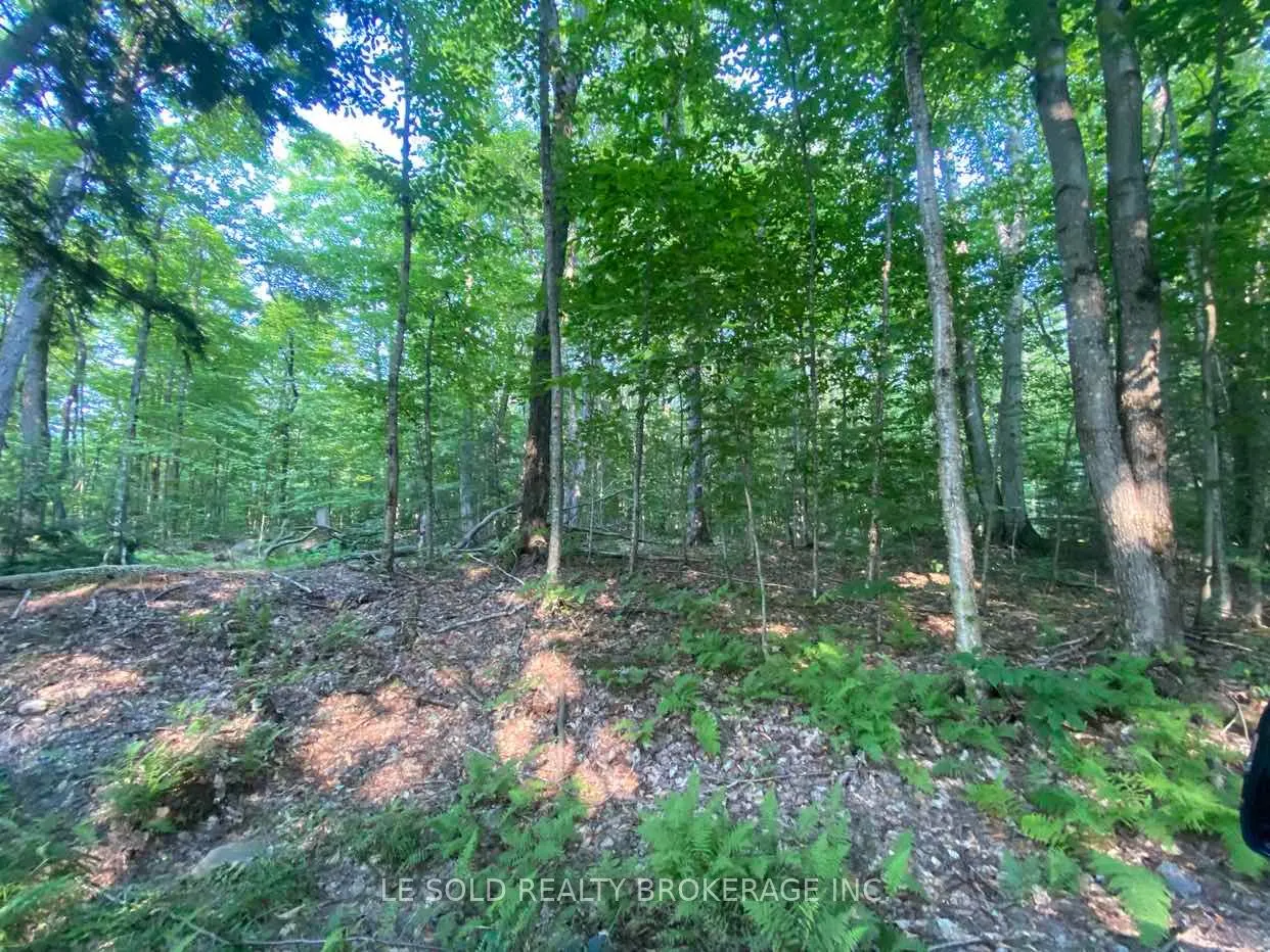 1310 Camel Lake Road #Lot # 7