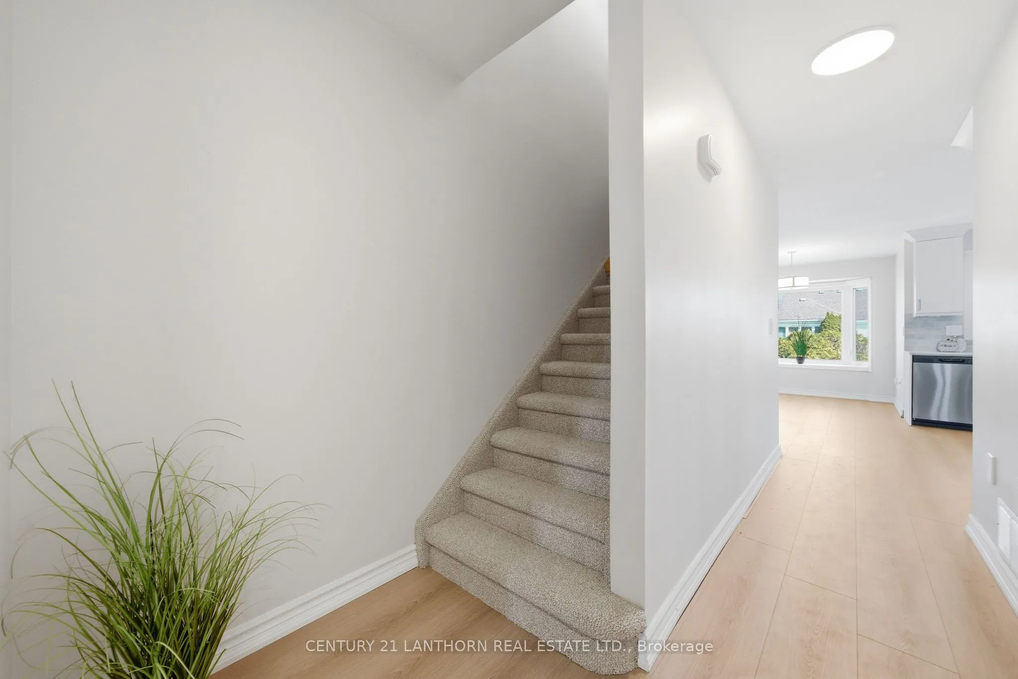 13 Nesbitt Drive