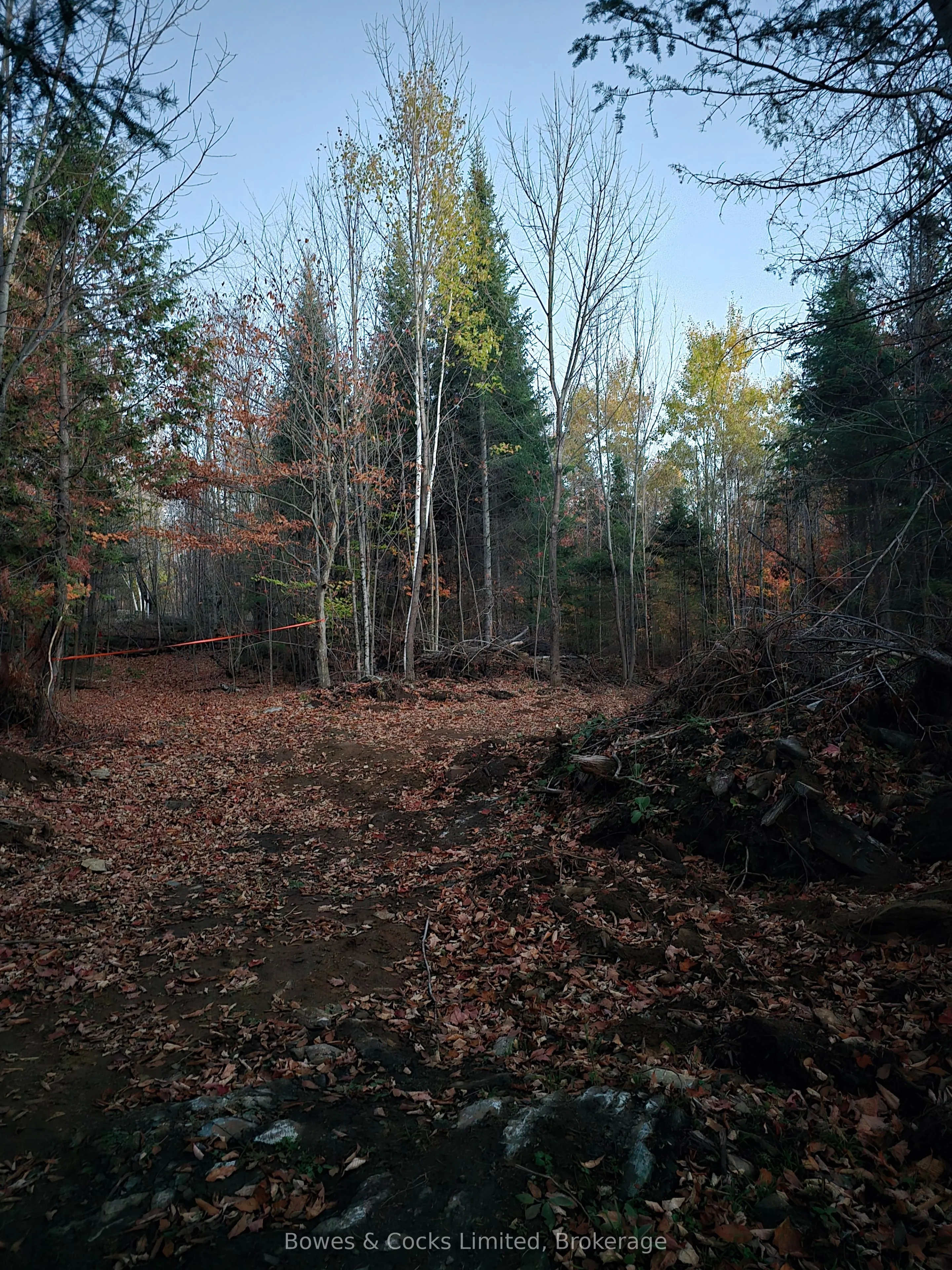 42 Clear Lake Court
