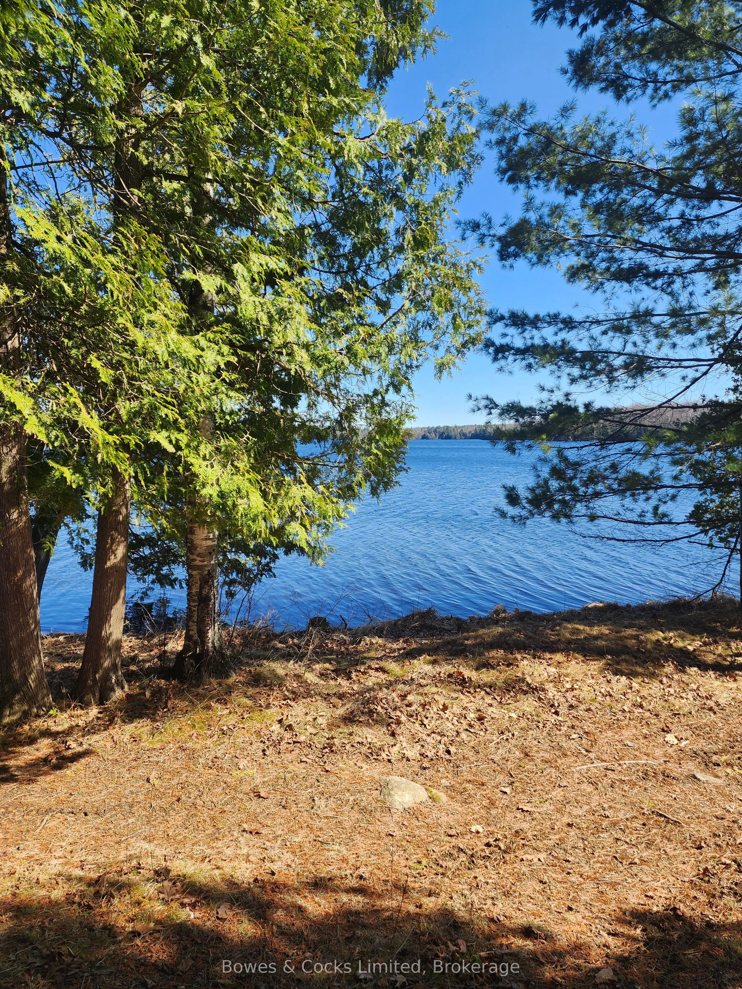 42 Clear Lake Court