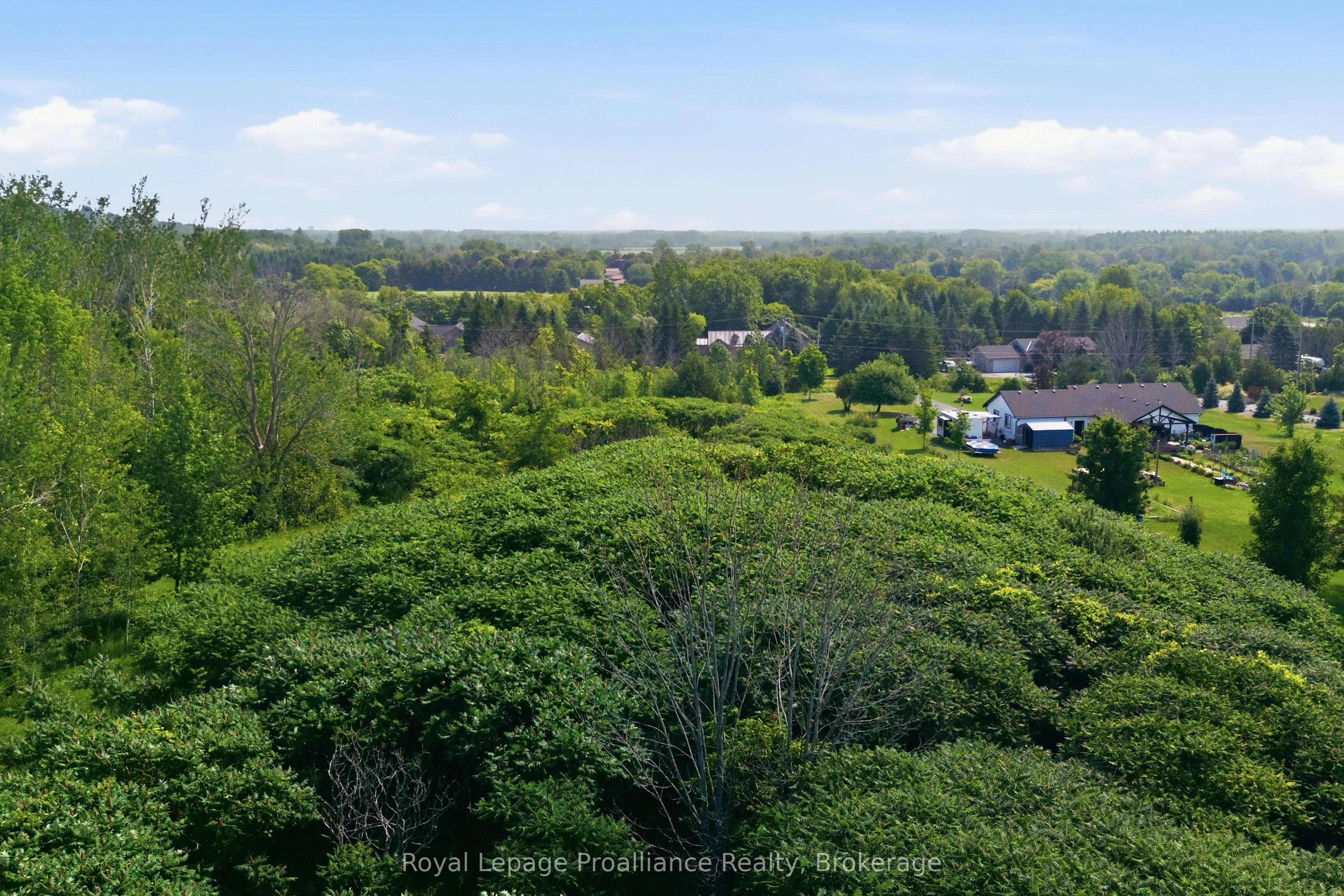0 Lisgar Street