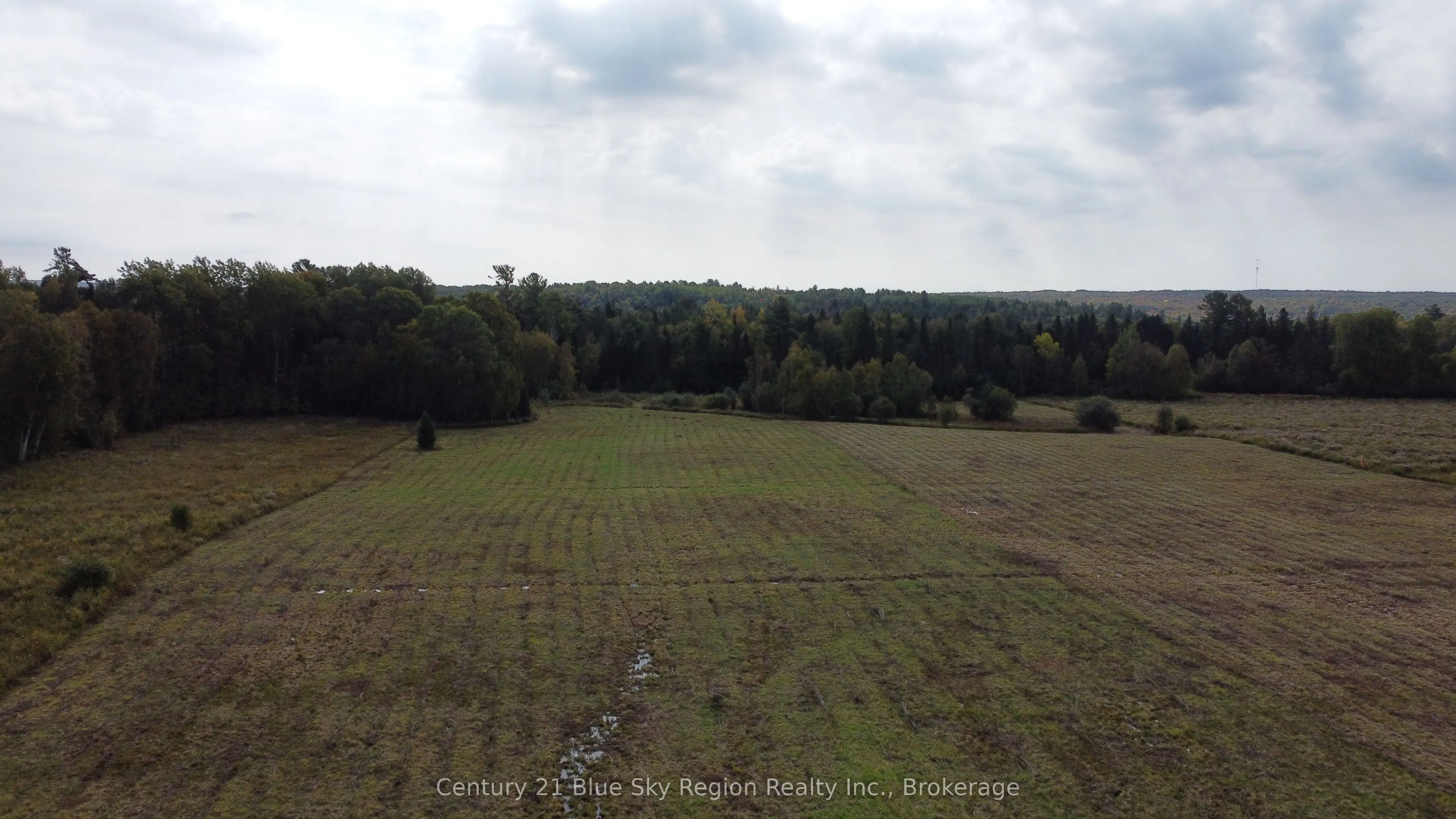 4197 Highway 654