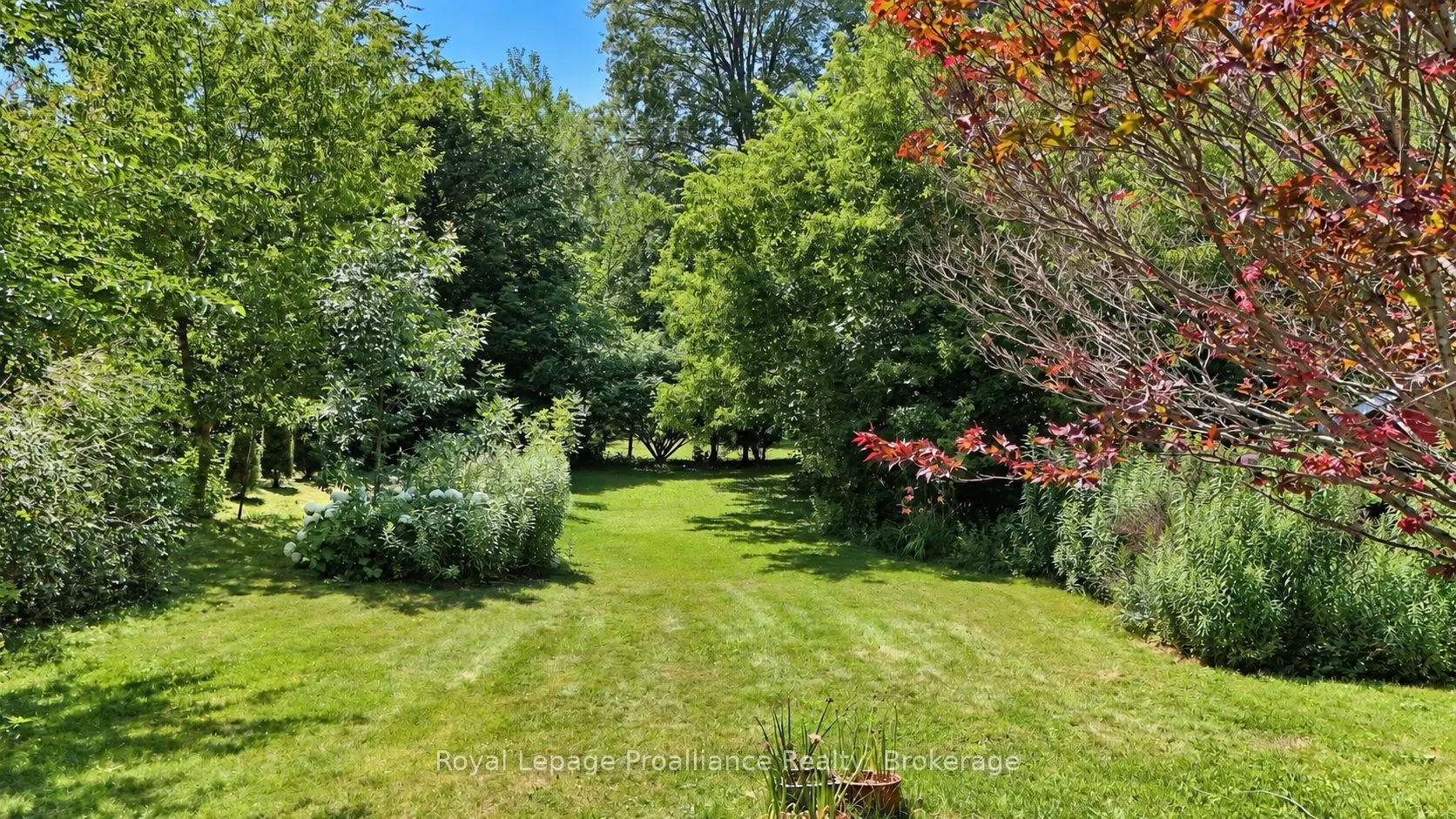 136 Macdonald Avenue