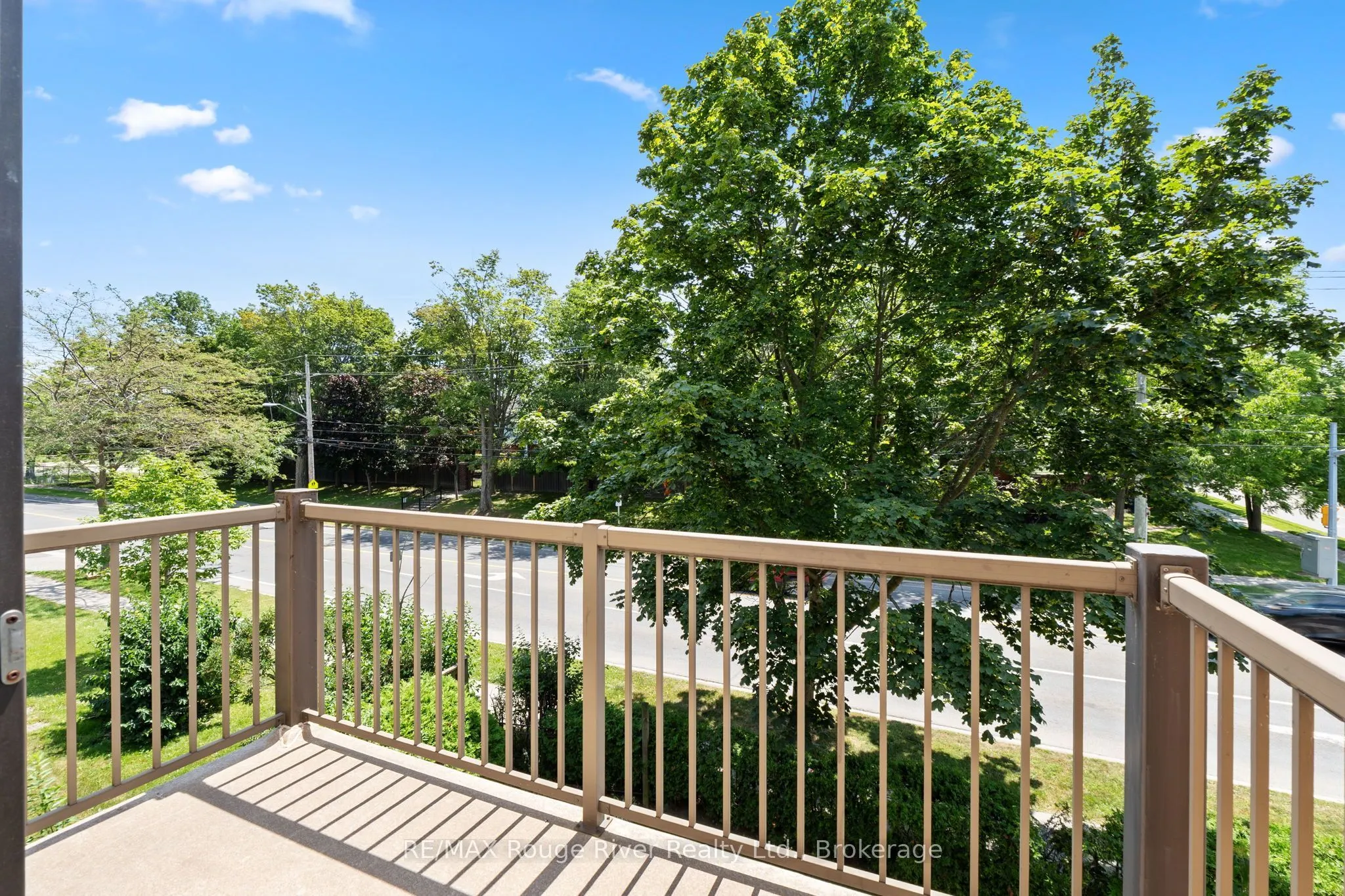 242 Darcy Street #11