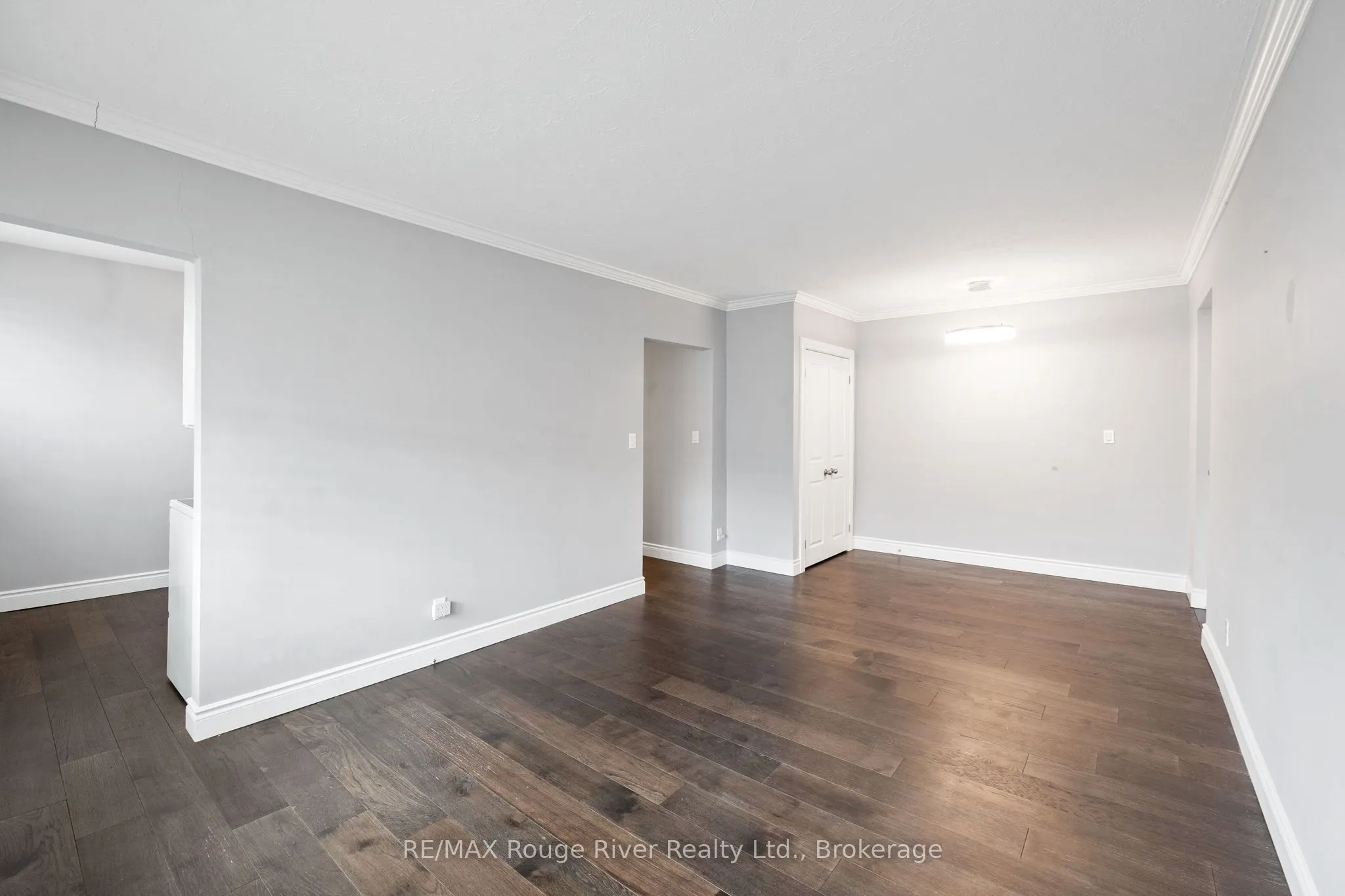 242 Darcy Street #11