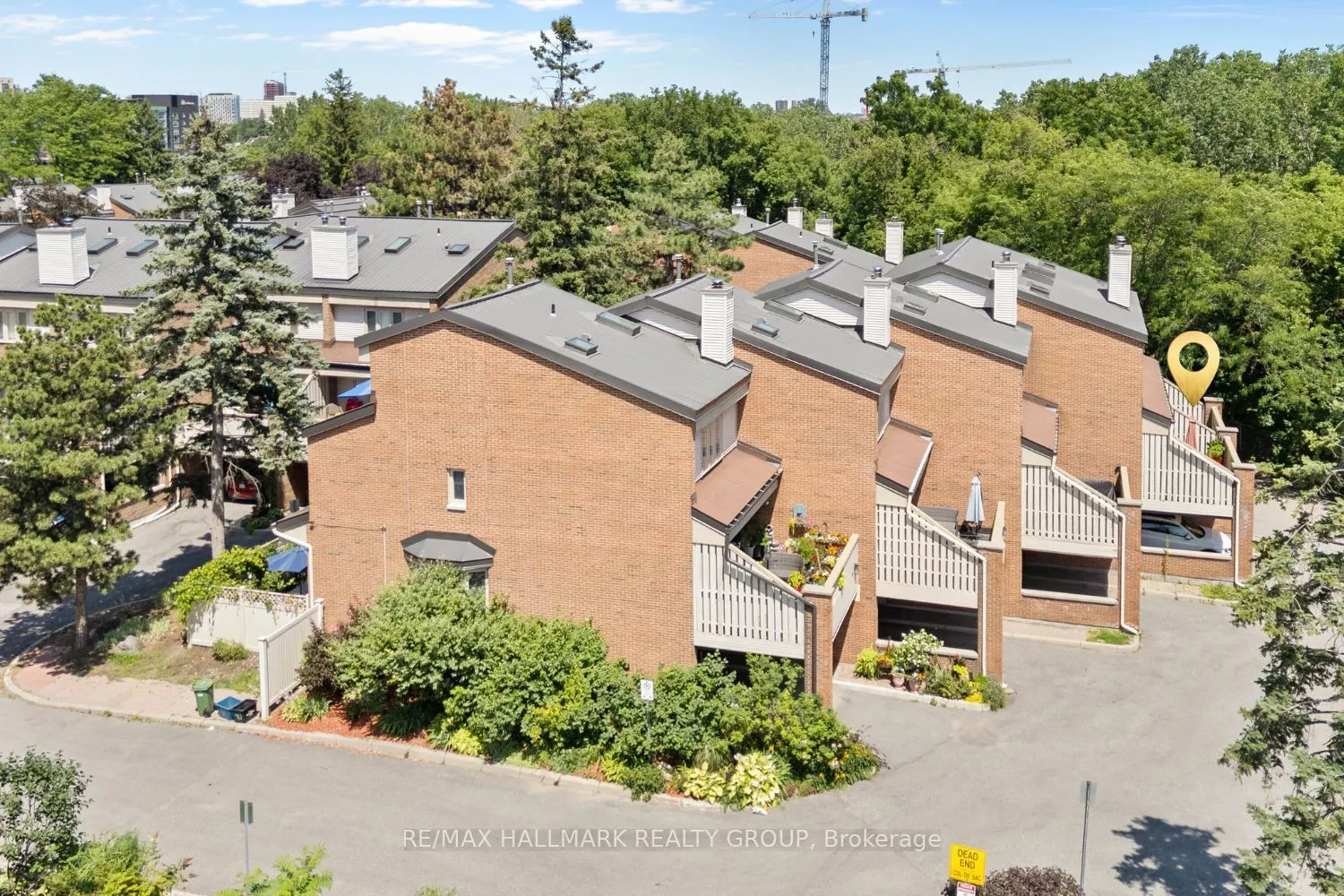 110 Havelock Street #59