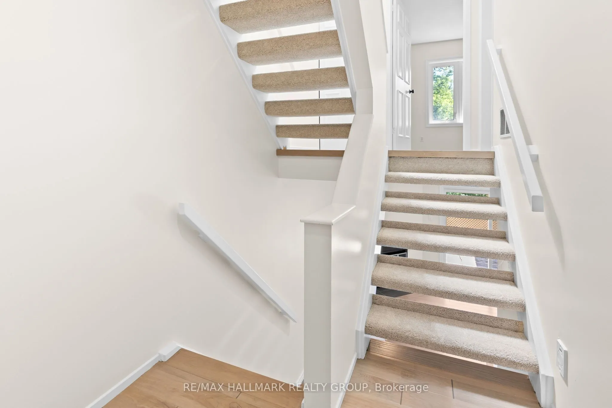 110 Havelock Street #59