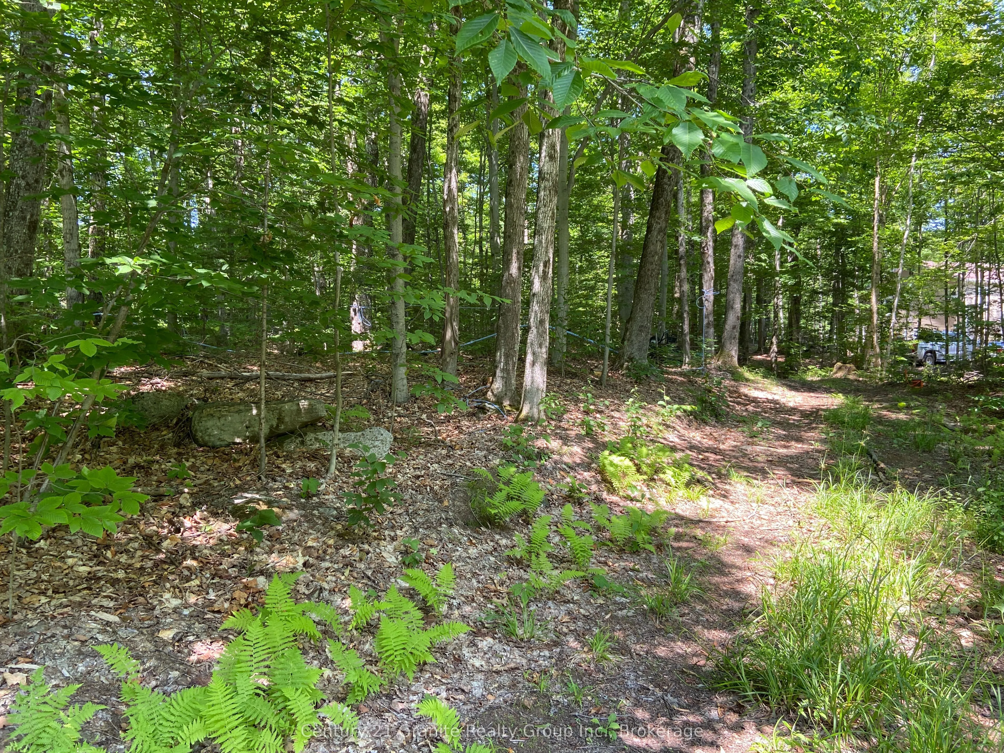 99 Forest View Road