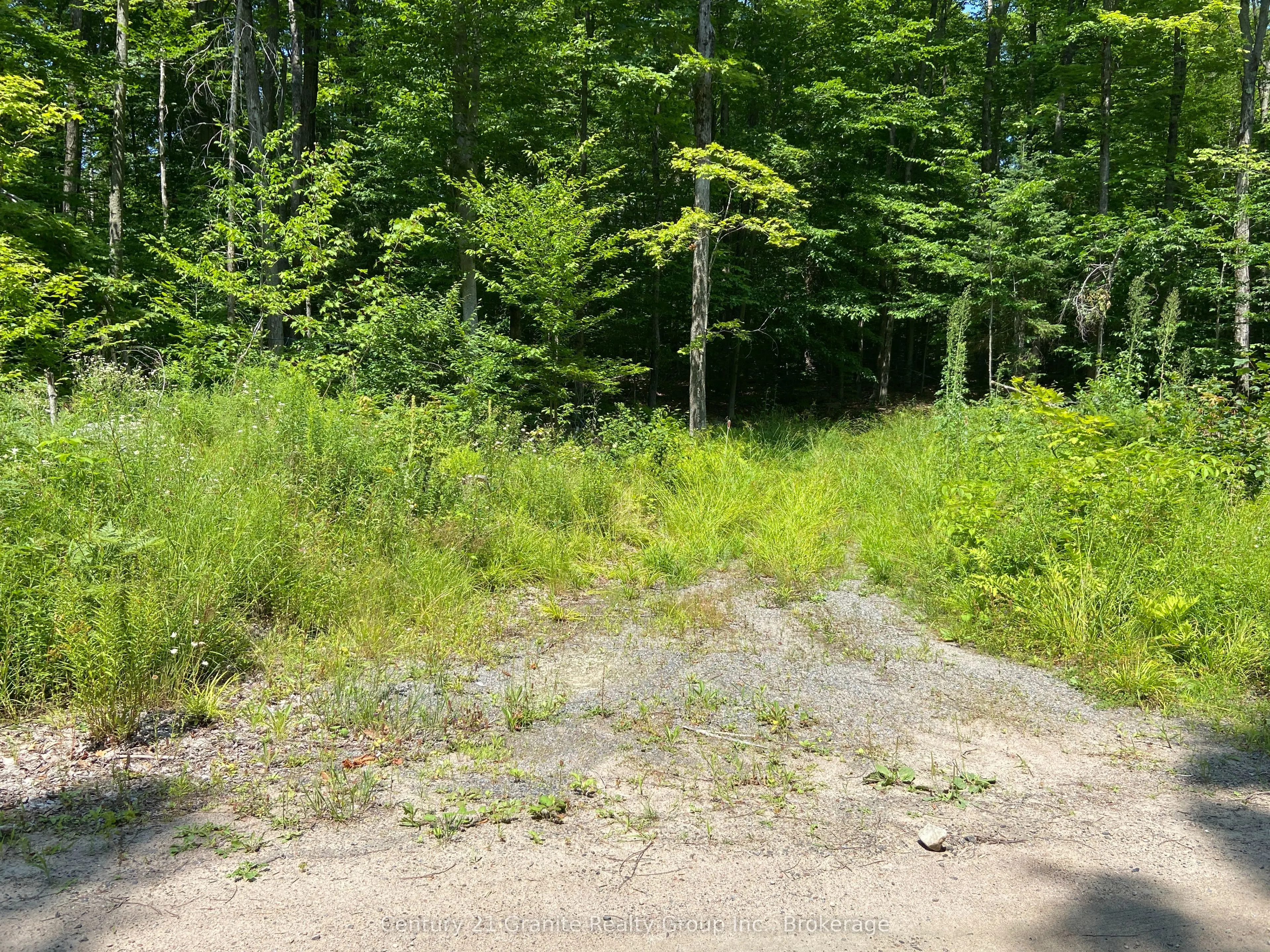 99 Forest View Road
