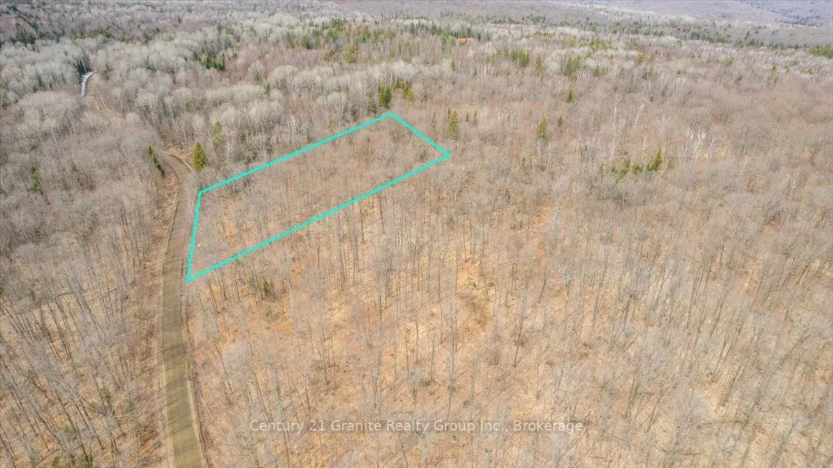 99 Forest View Road