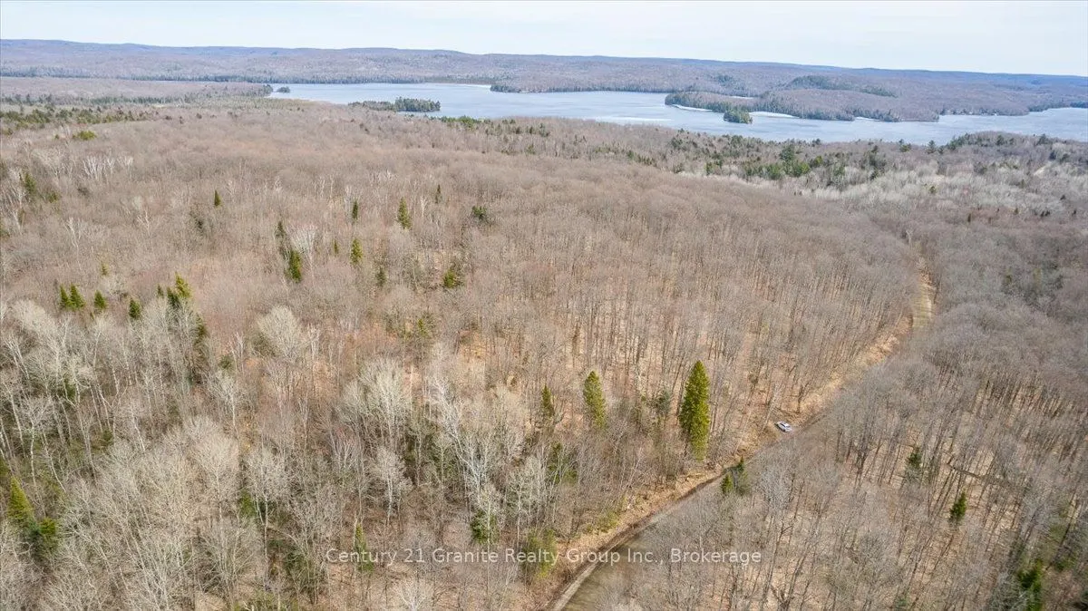 99 Forest View Road