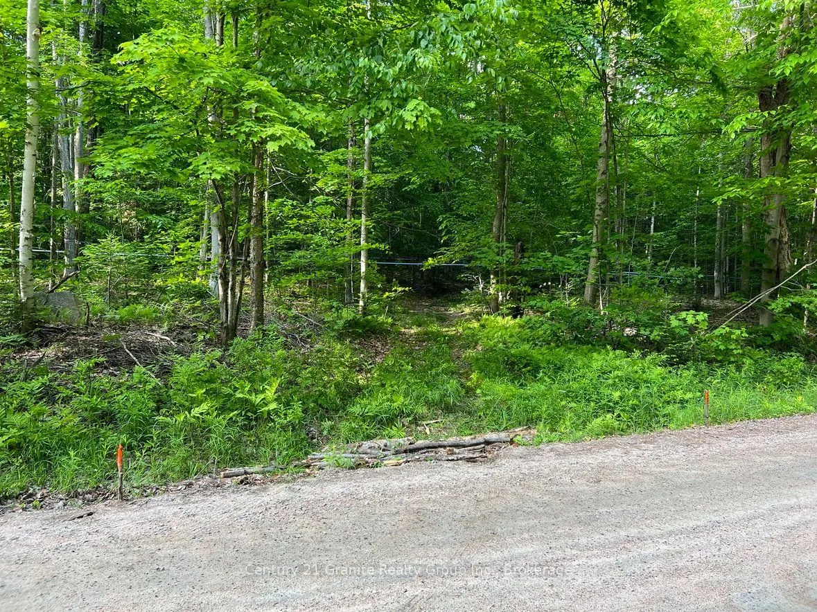 99 Forest View Road