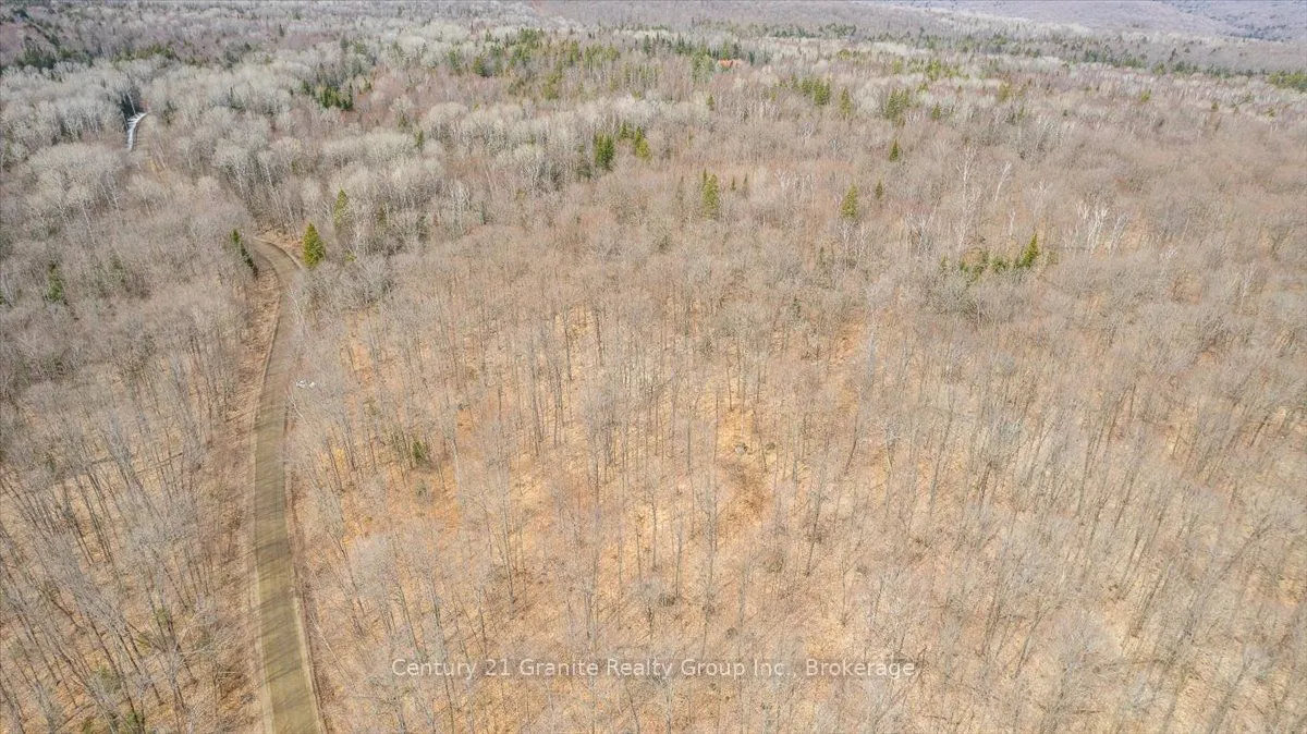 99 Forest View Road