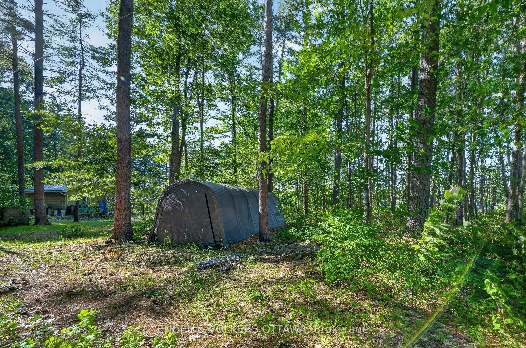 2221A Gratton Trail