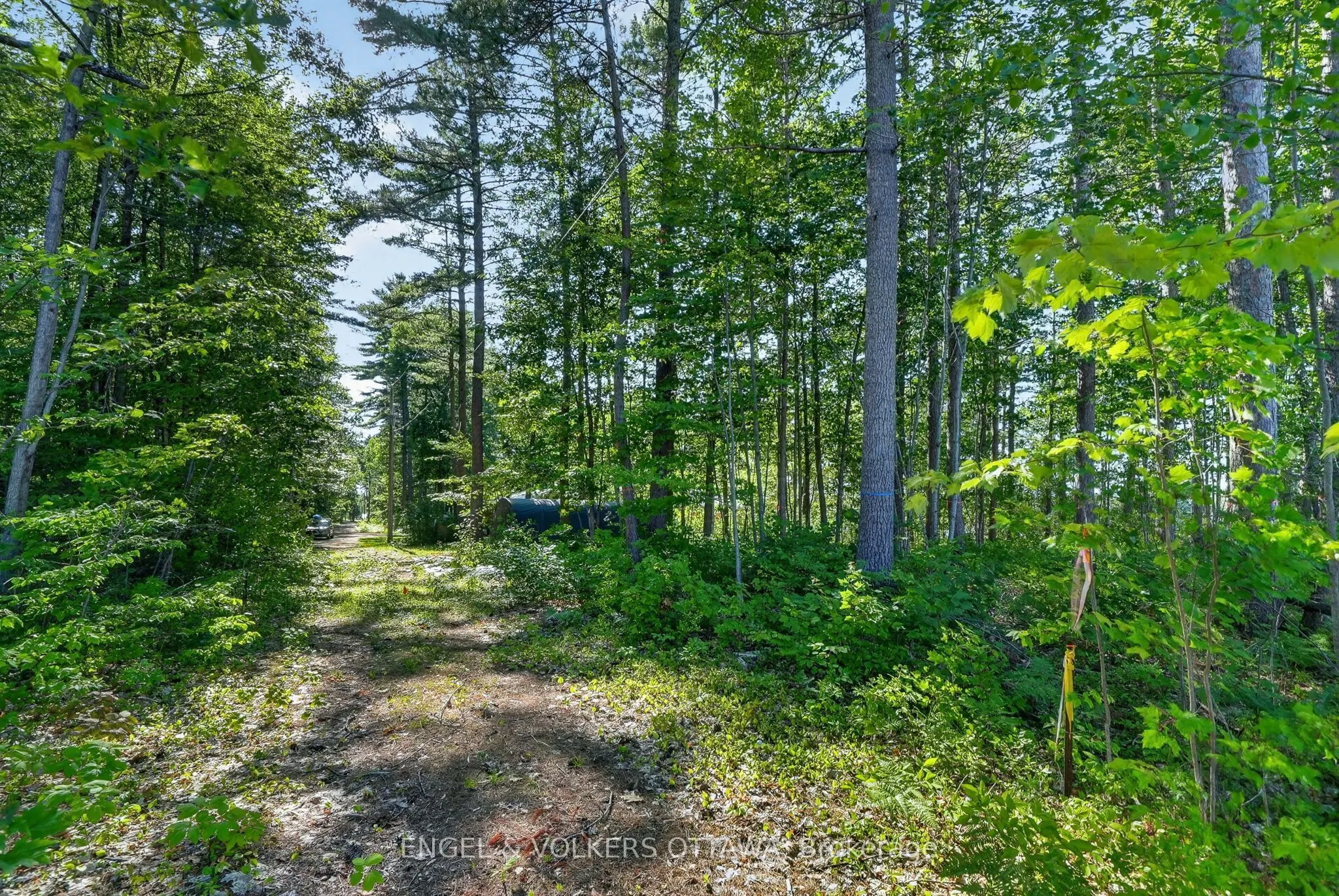 2221A Gratton Trail