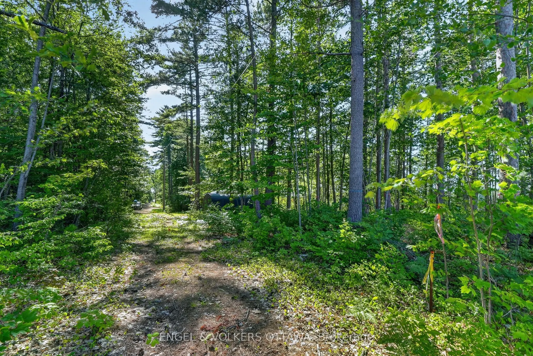 2221A Gratton Trail