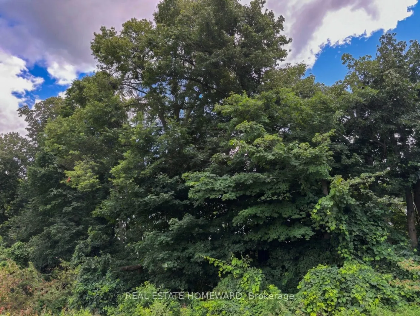 937082 AIRPORT Road W