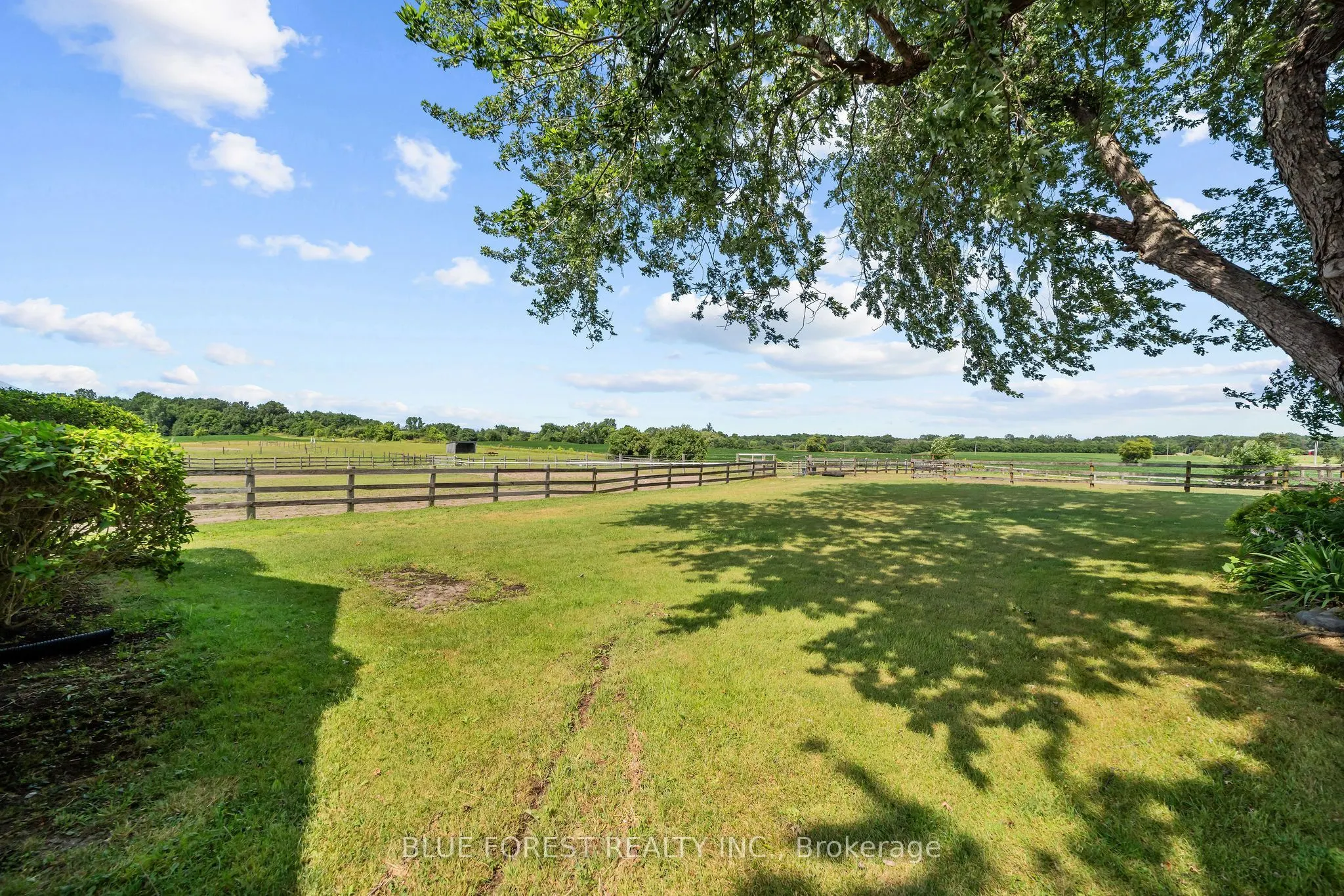 12798 EIGHT MILE Road