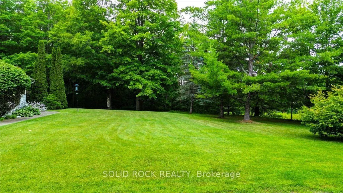 313 Pine Grove Road