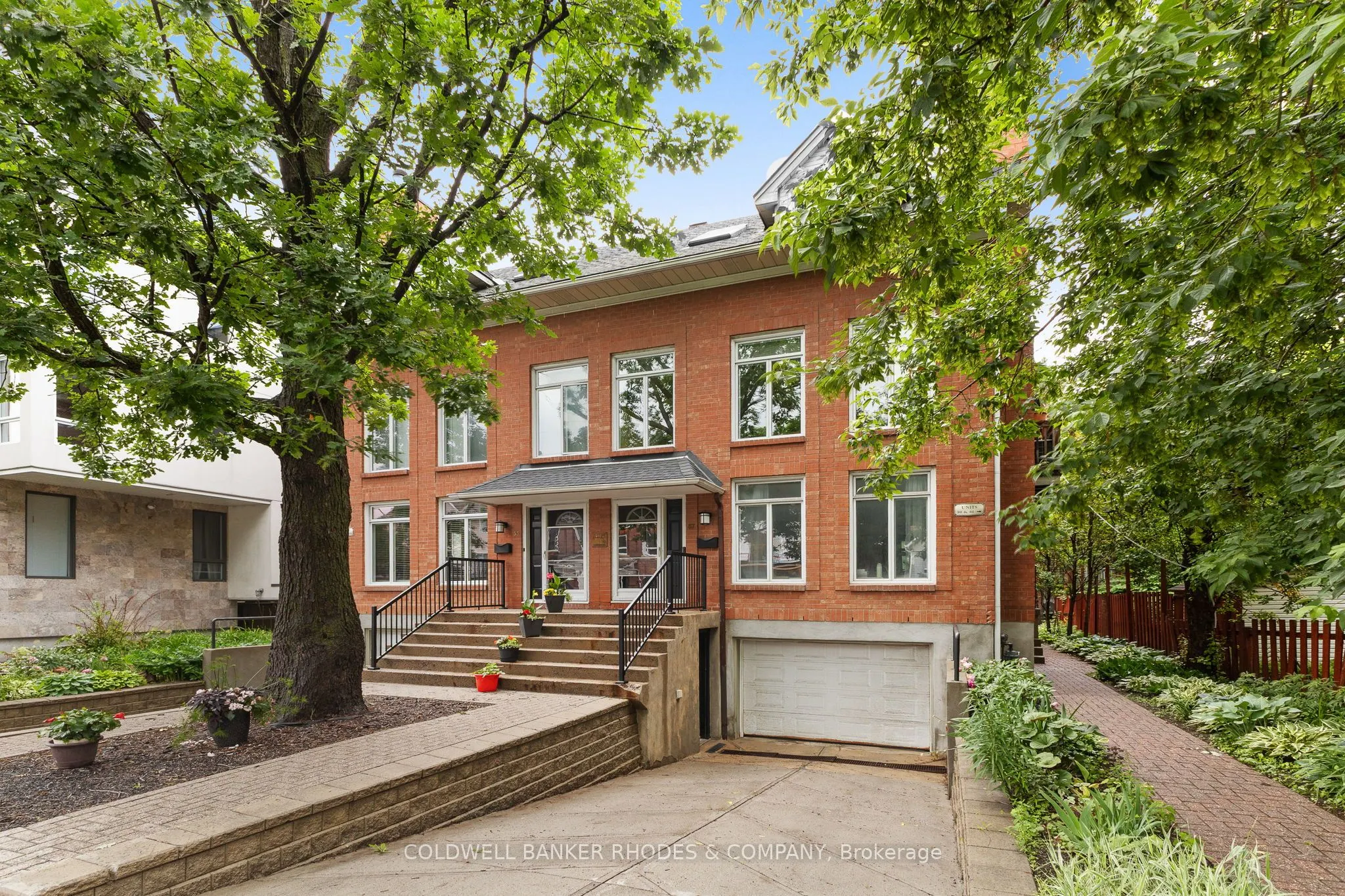 59 Havelock Street #1