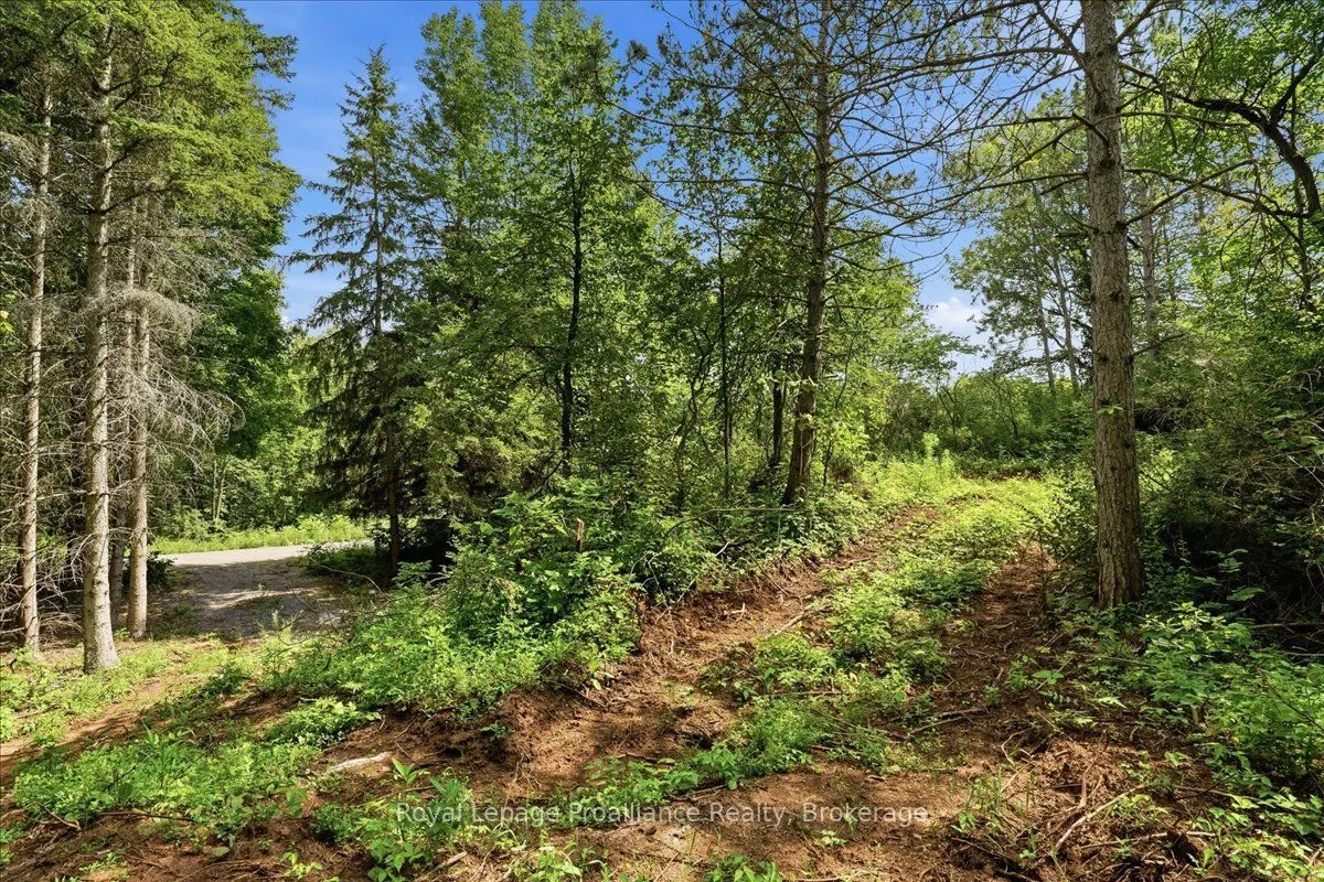 00 Otter Creek Road