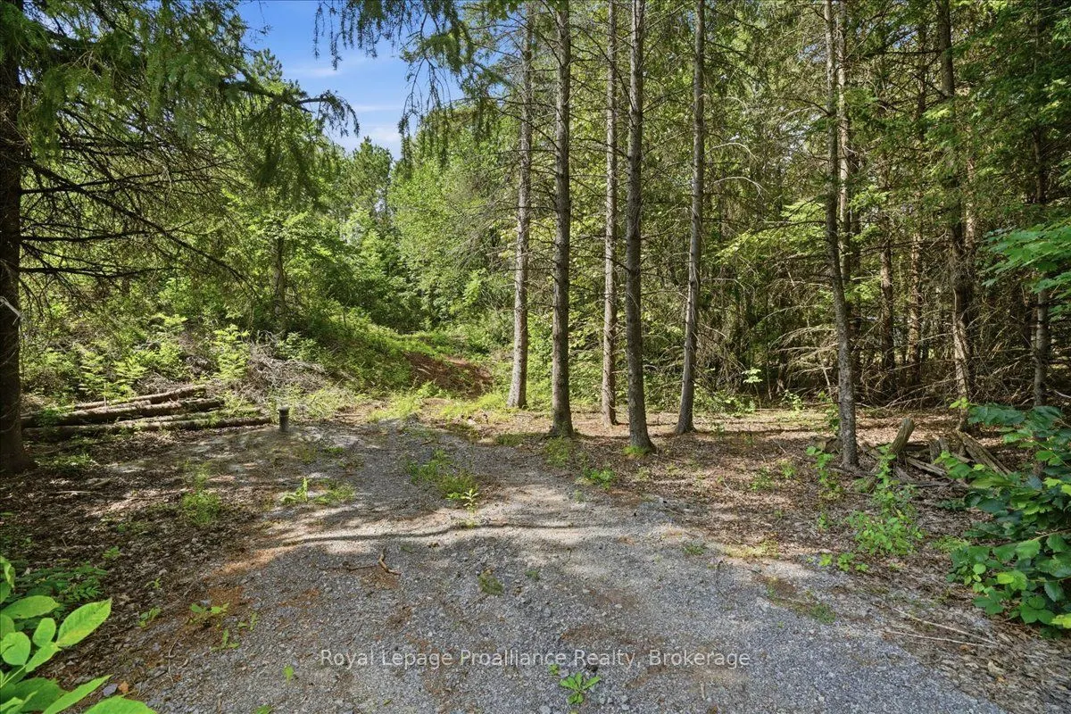00 Otter Creek Road