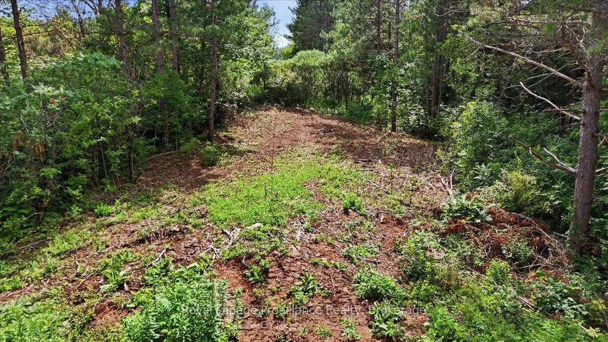 00 Otter Creek Road