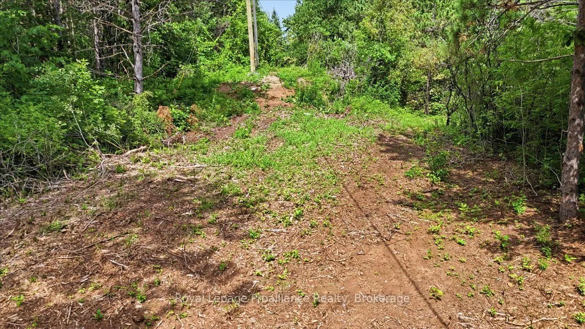 00 Otter Creek Road