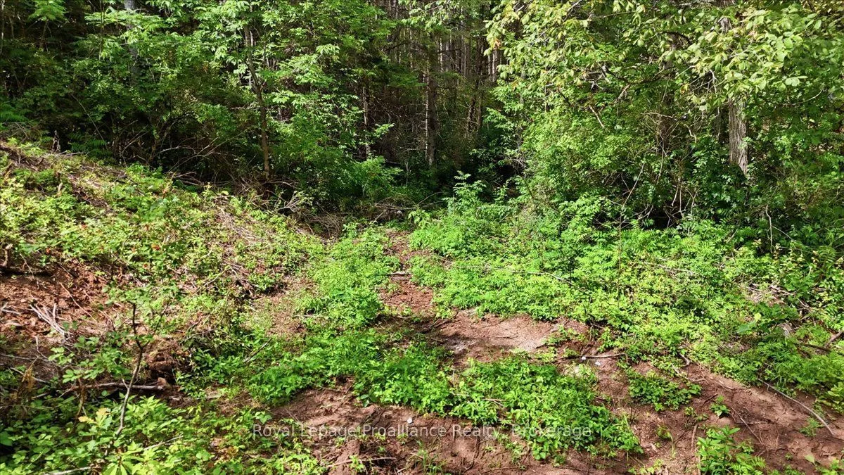 00 Otter Creek Road