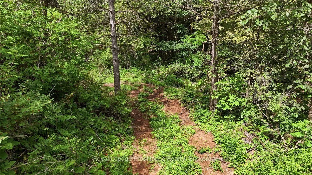 00 Otter Creek Road