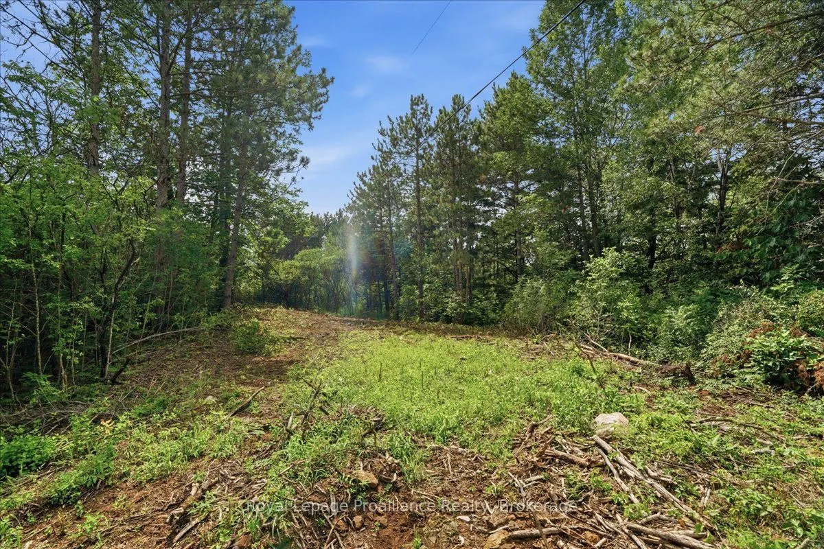 00 Otter Creek Road
