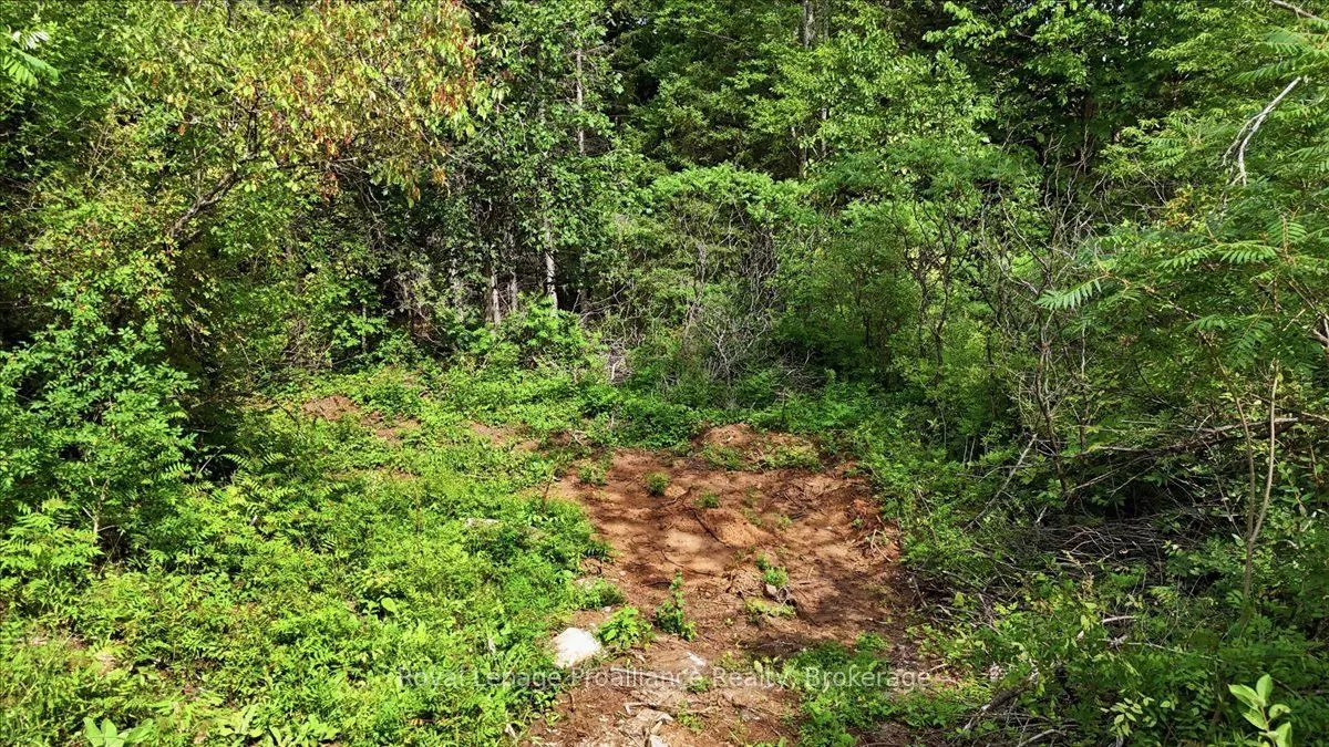 00 Otter Creek Road