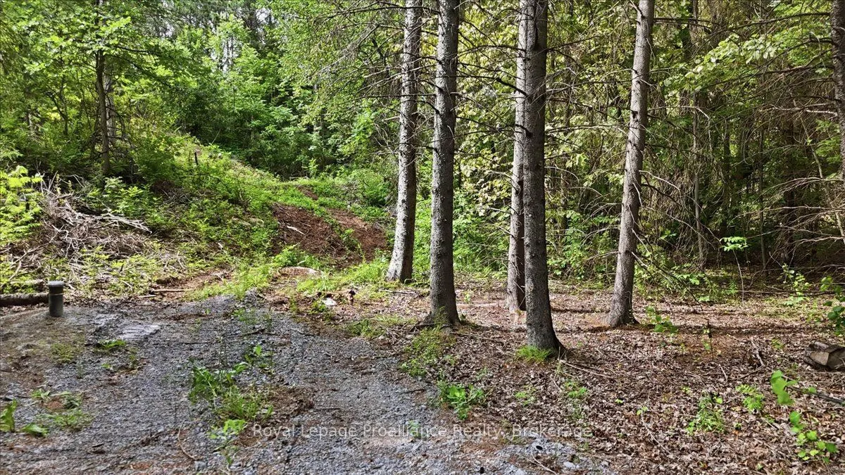 00 Otter Creek Road